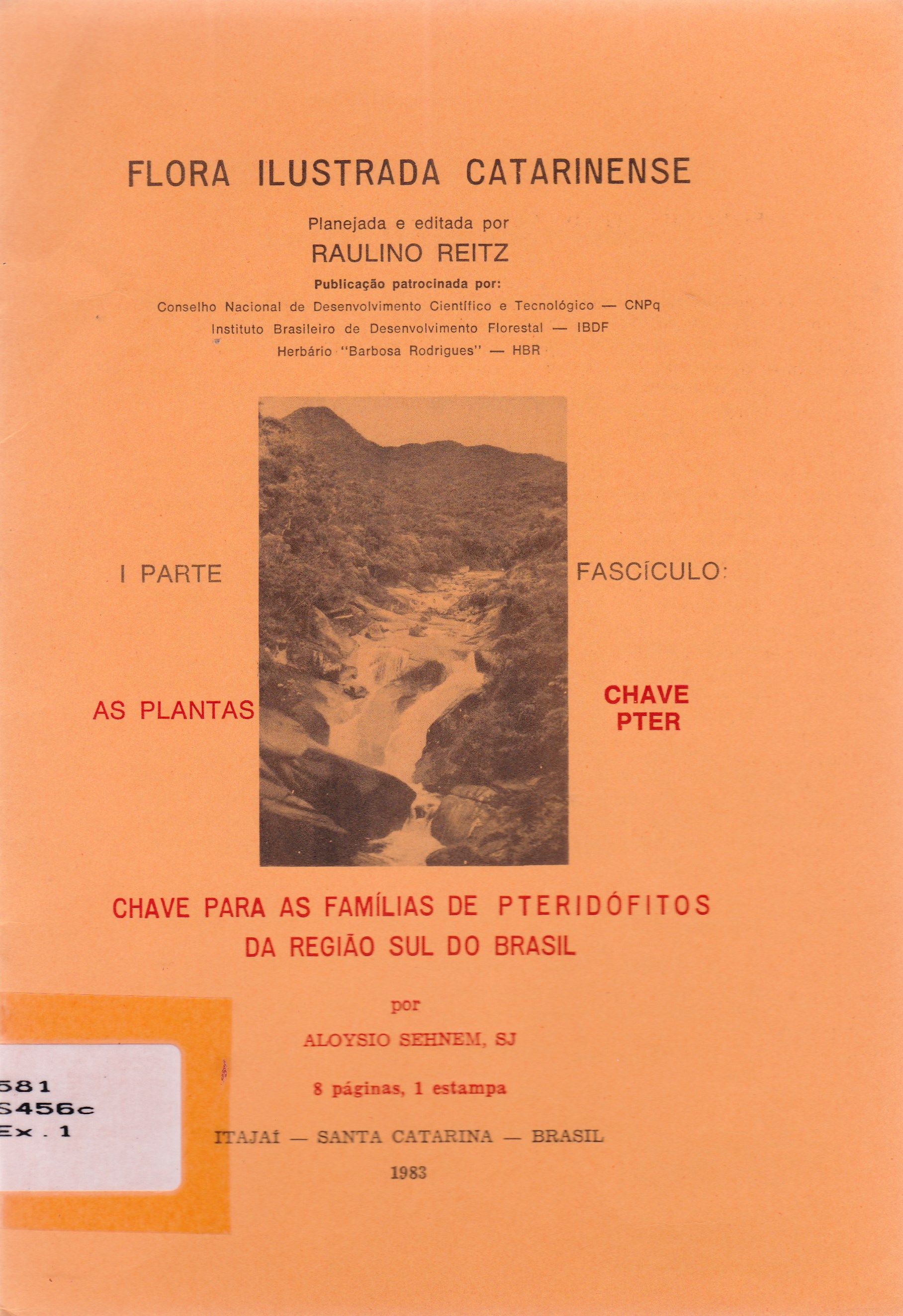CHAVE PARA AS FAMÍLIAS DE PTERIDÓFITOS DA REGIÃO SUL DO BRASIL