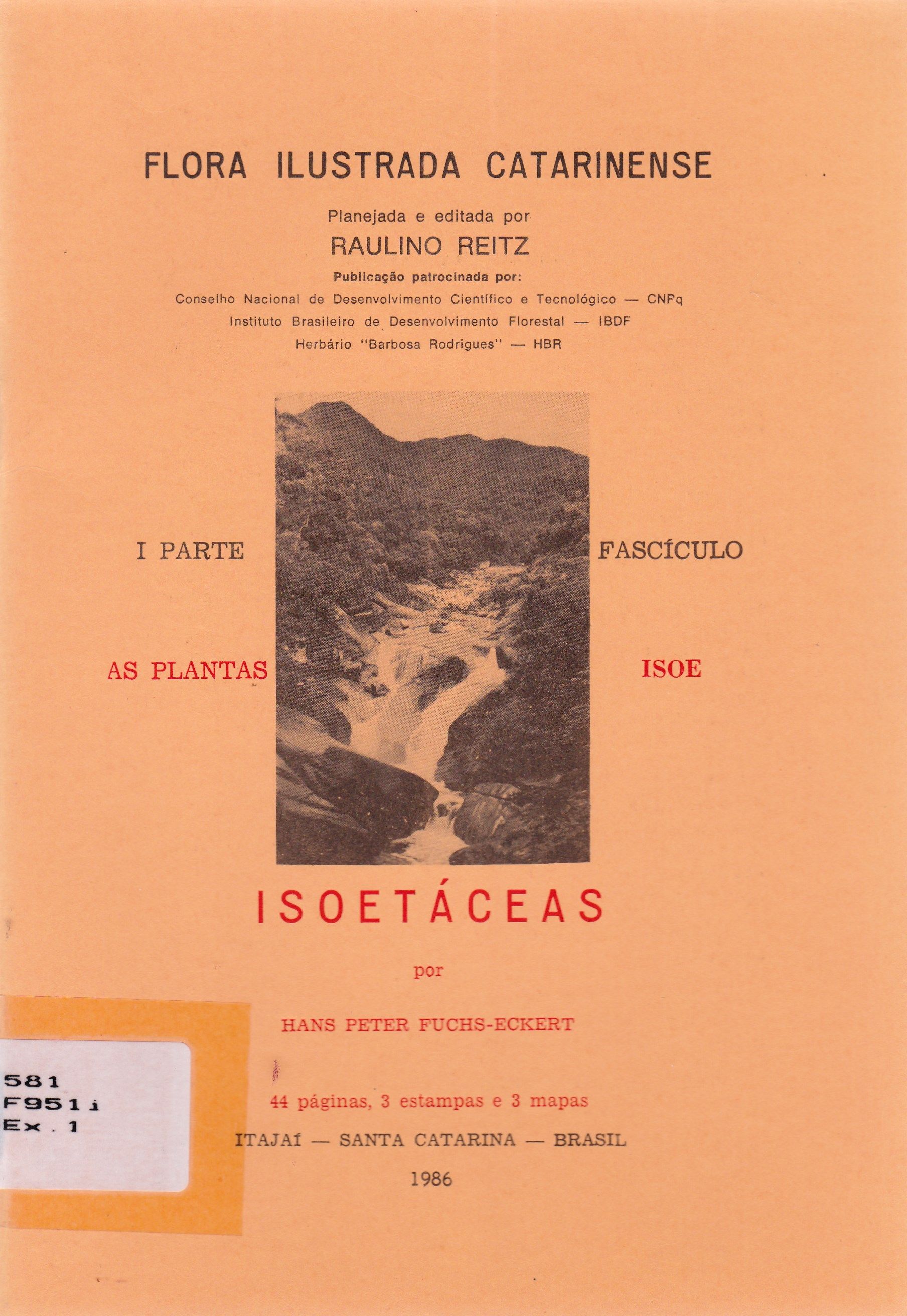 ISOETÁCEAS