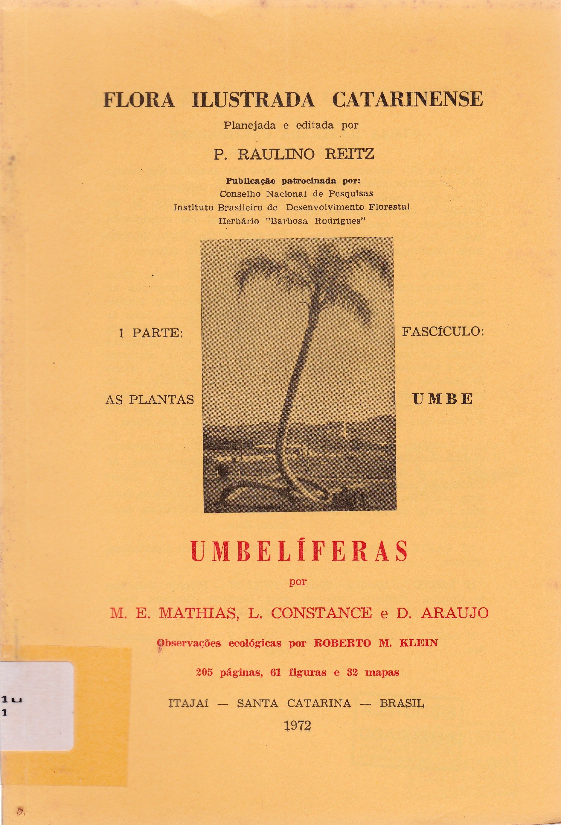 UMBELÍFERAS