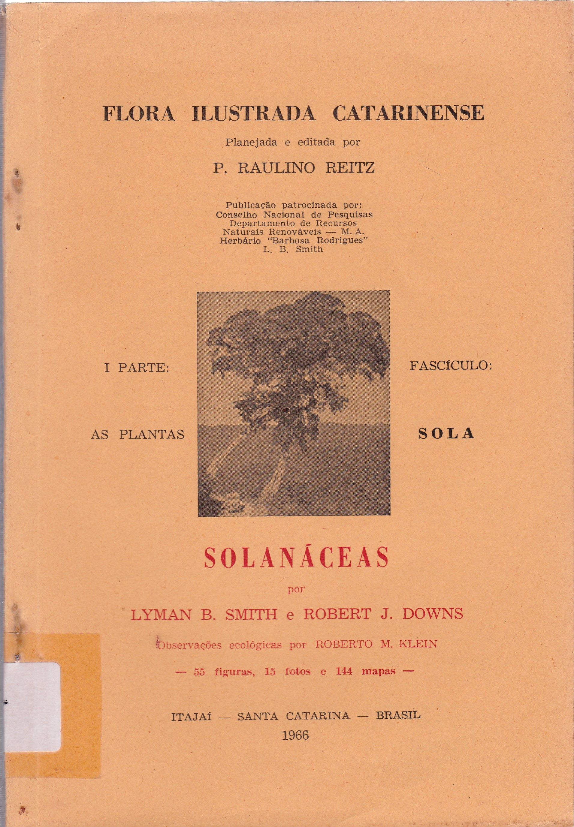 SOLANÁCEAS