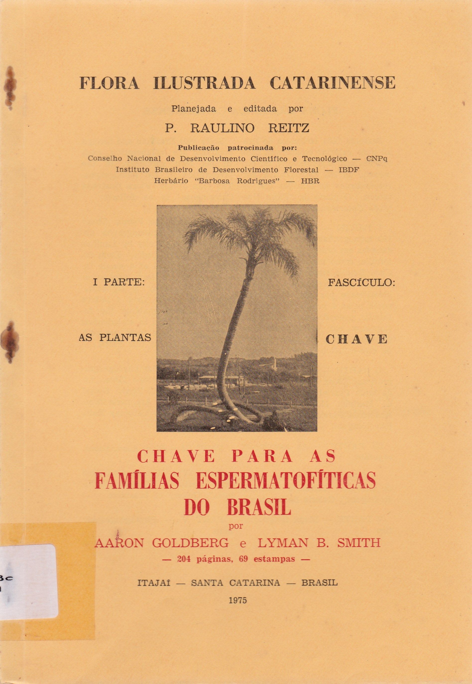 CHAVE PARA AS FAMÍLIAS ESPERMATOFÍTICAS DO BRASIL