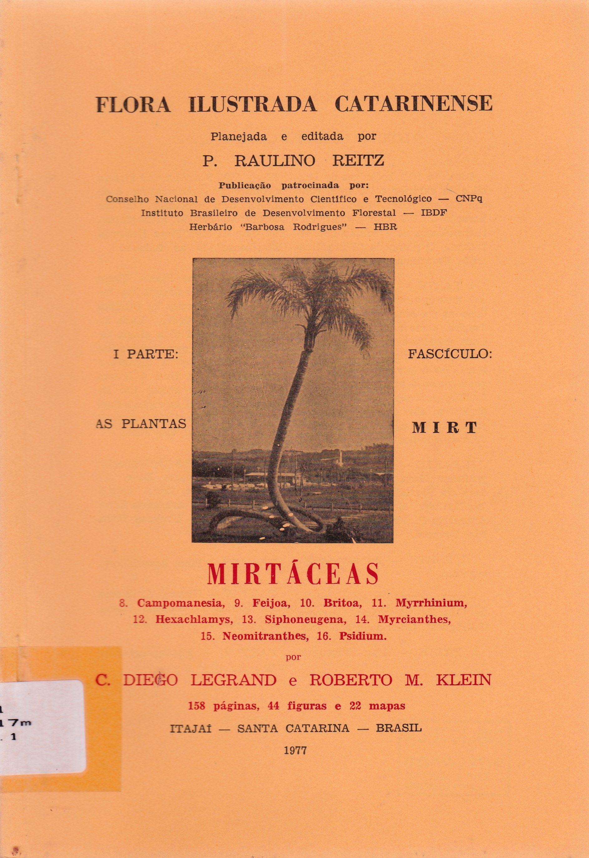 MIRTÁCEAS