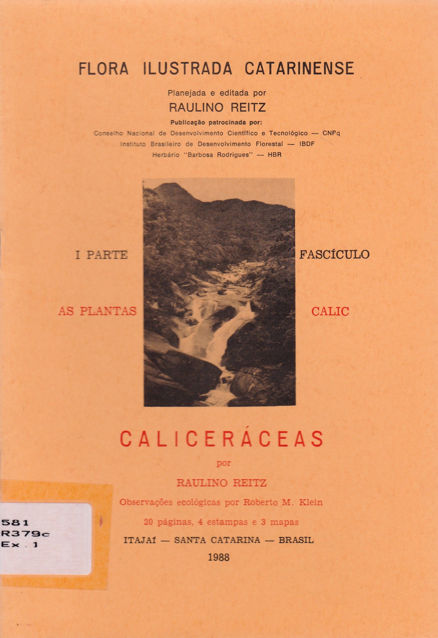 CALICERÁCEAS