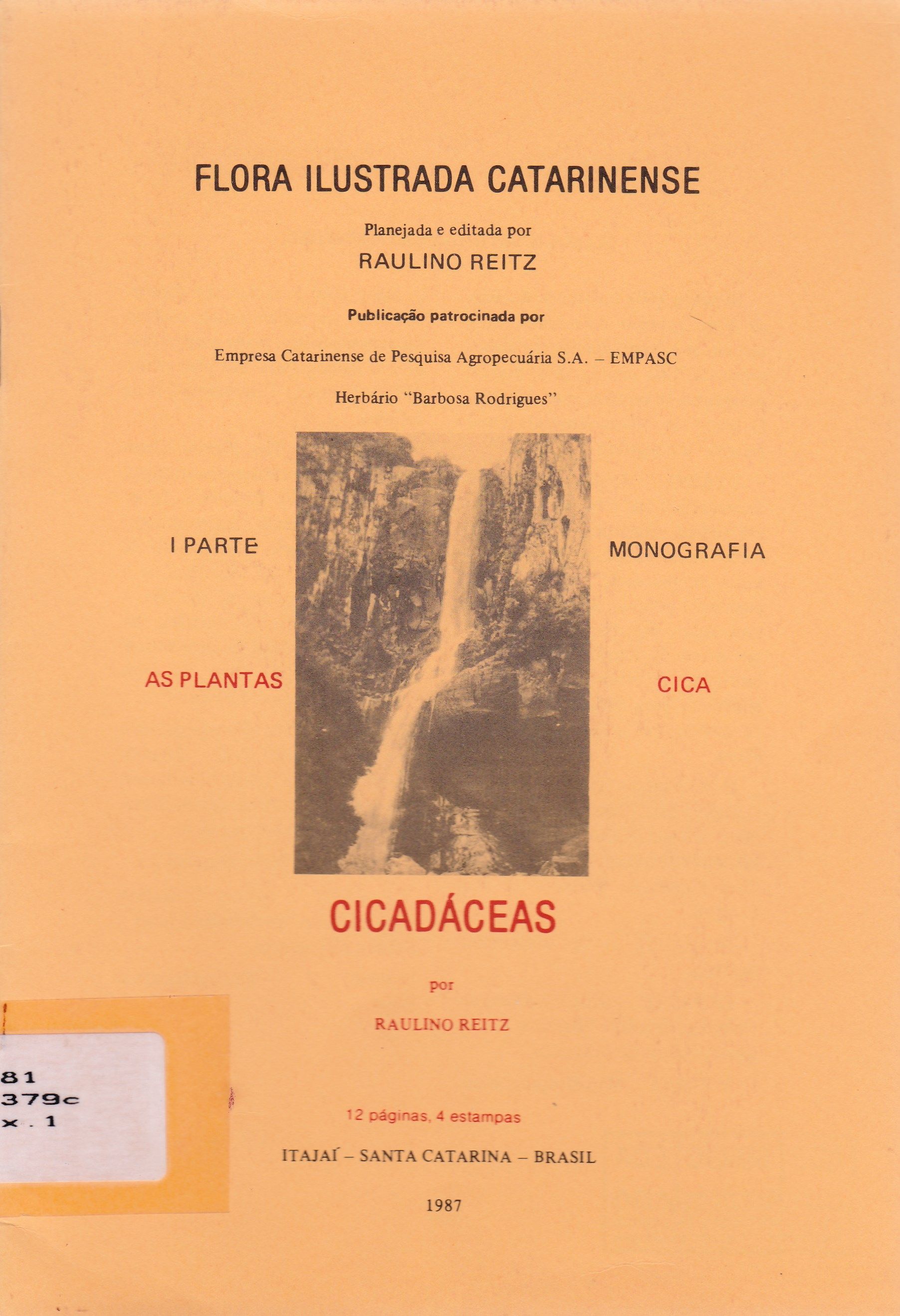 CICADÁCEAS
