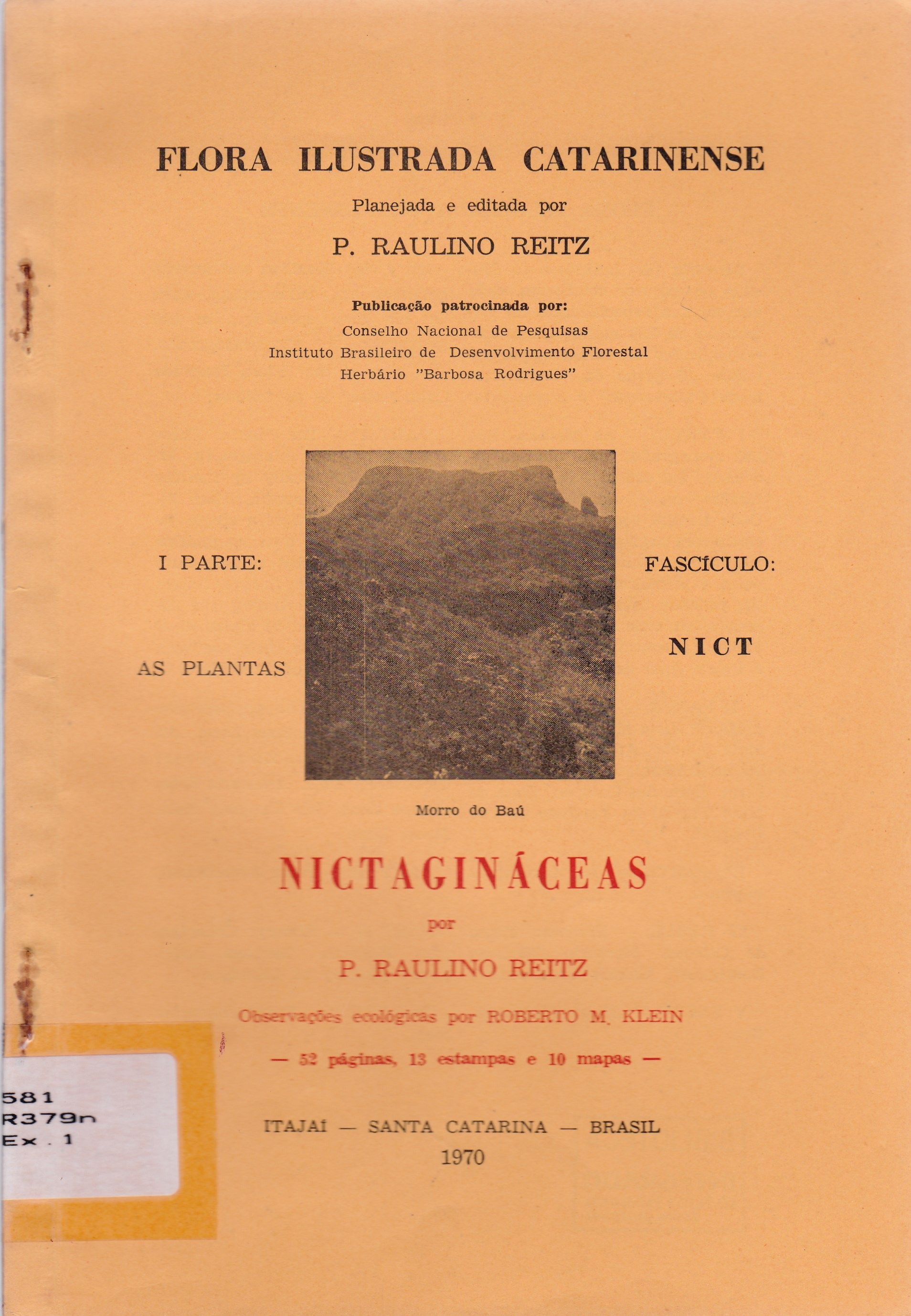 NICTAGINÁCEAS