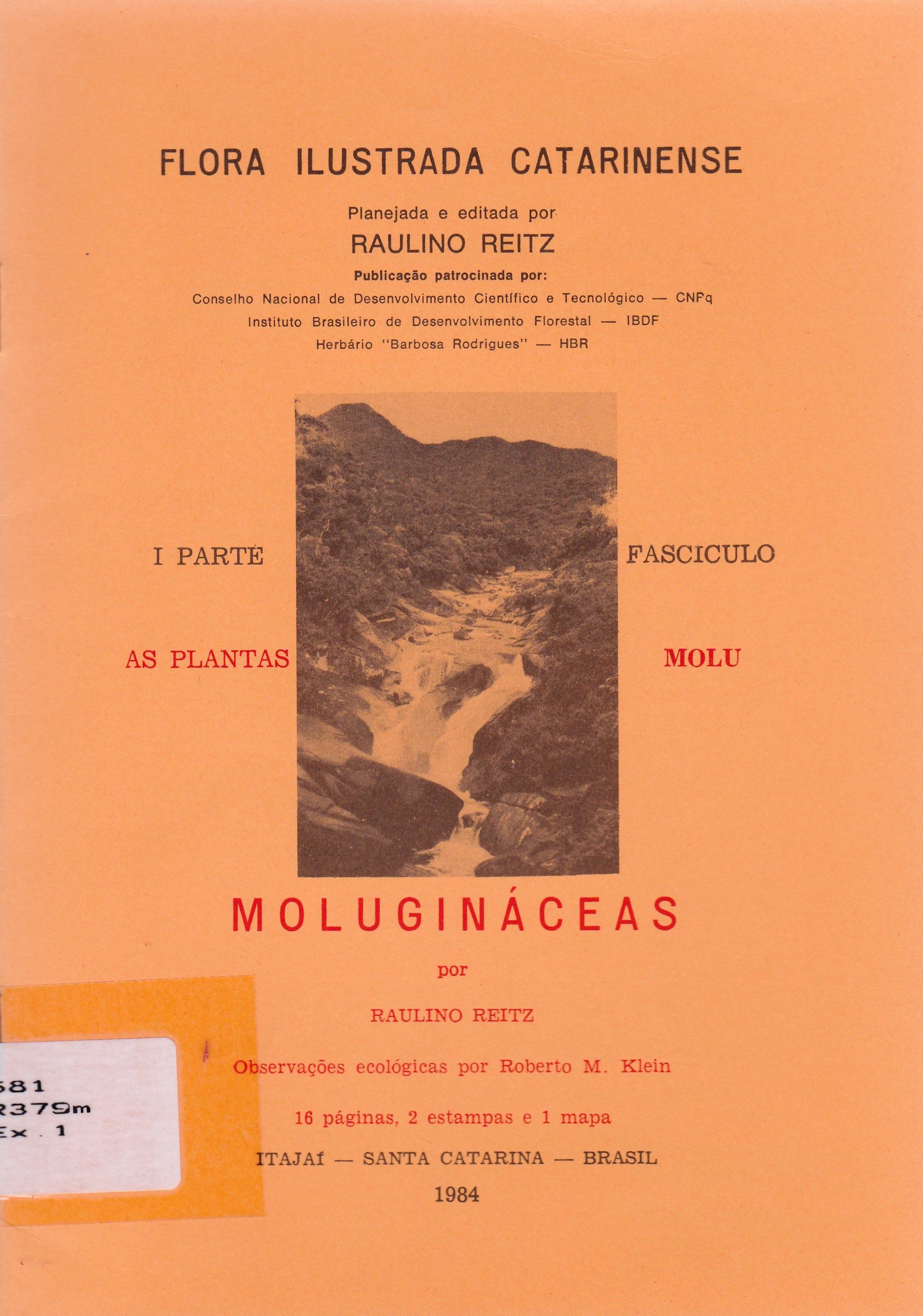 MOLUGINÁCEAS