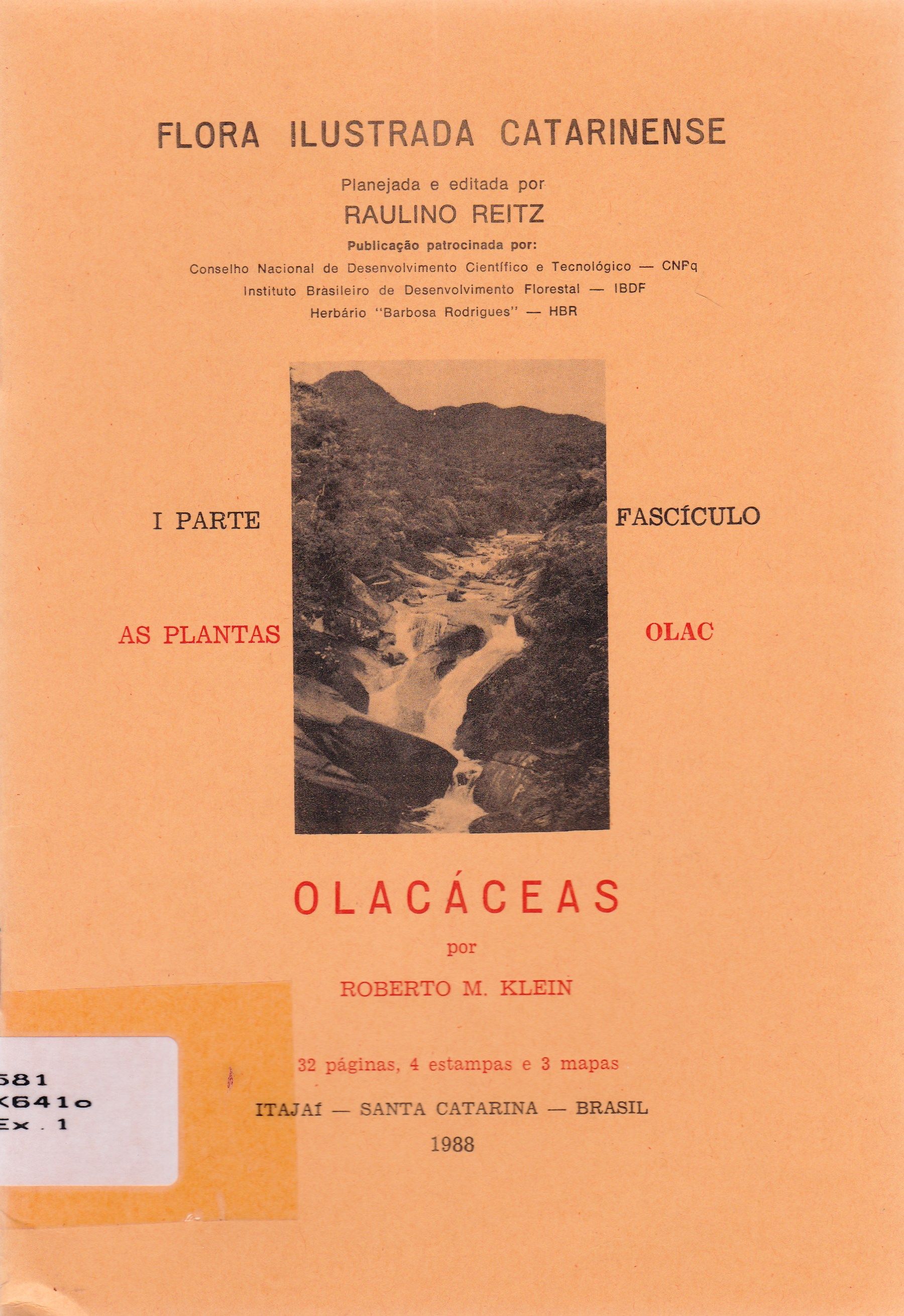 OLACÁCEAS