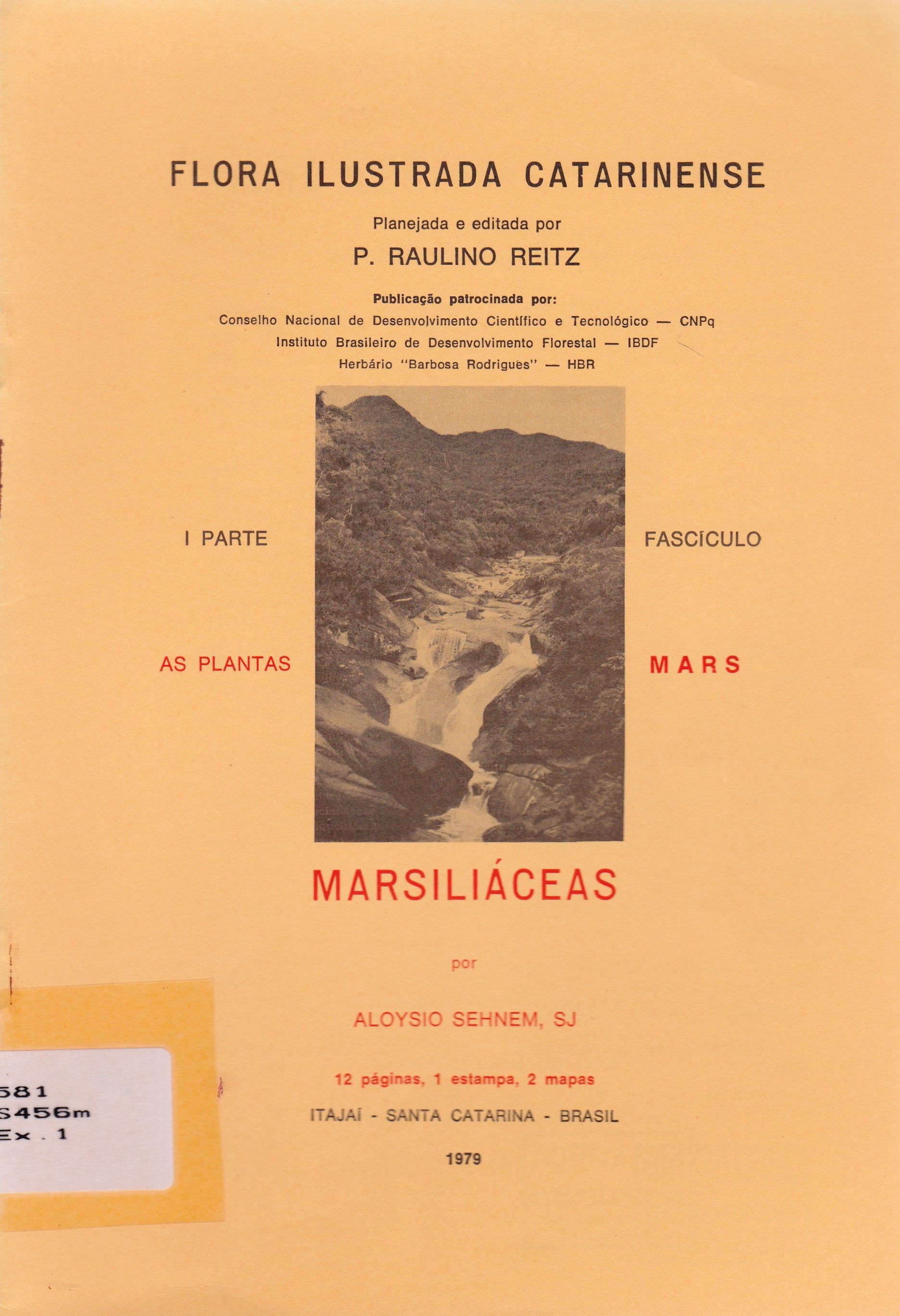 MARSILIÁCEAS