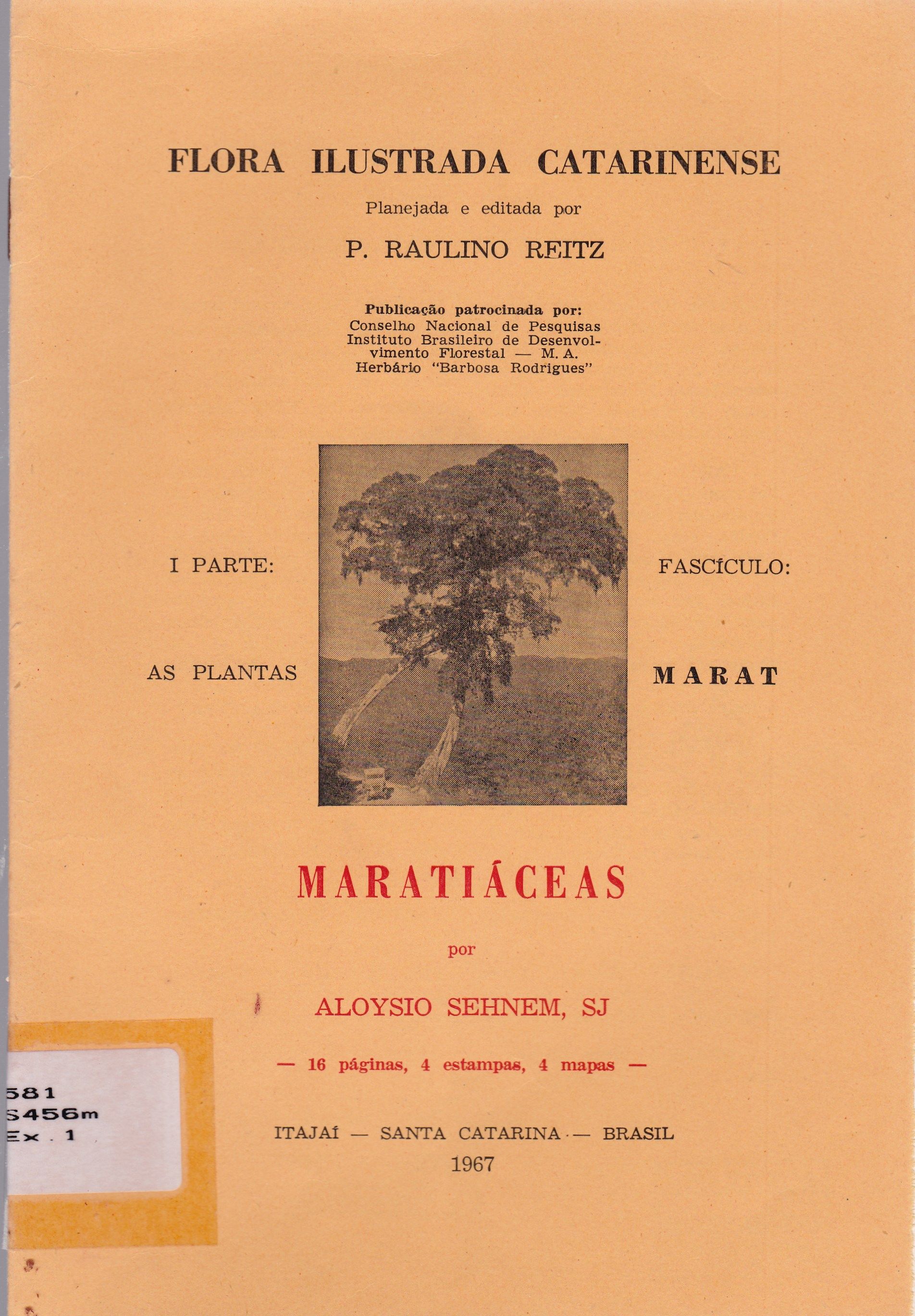 MARATIÁCEAS