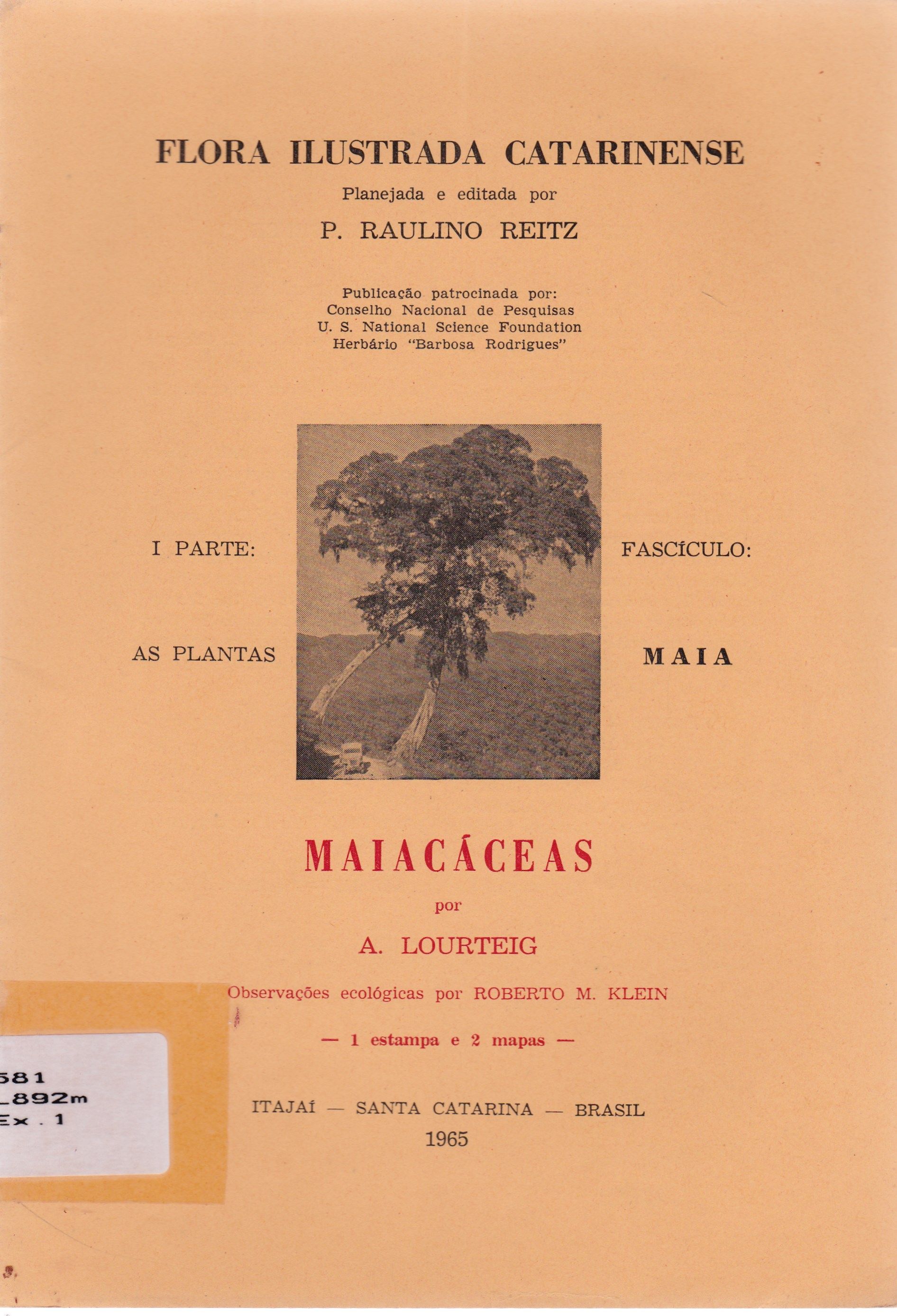 MAIACÁCEAS