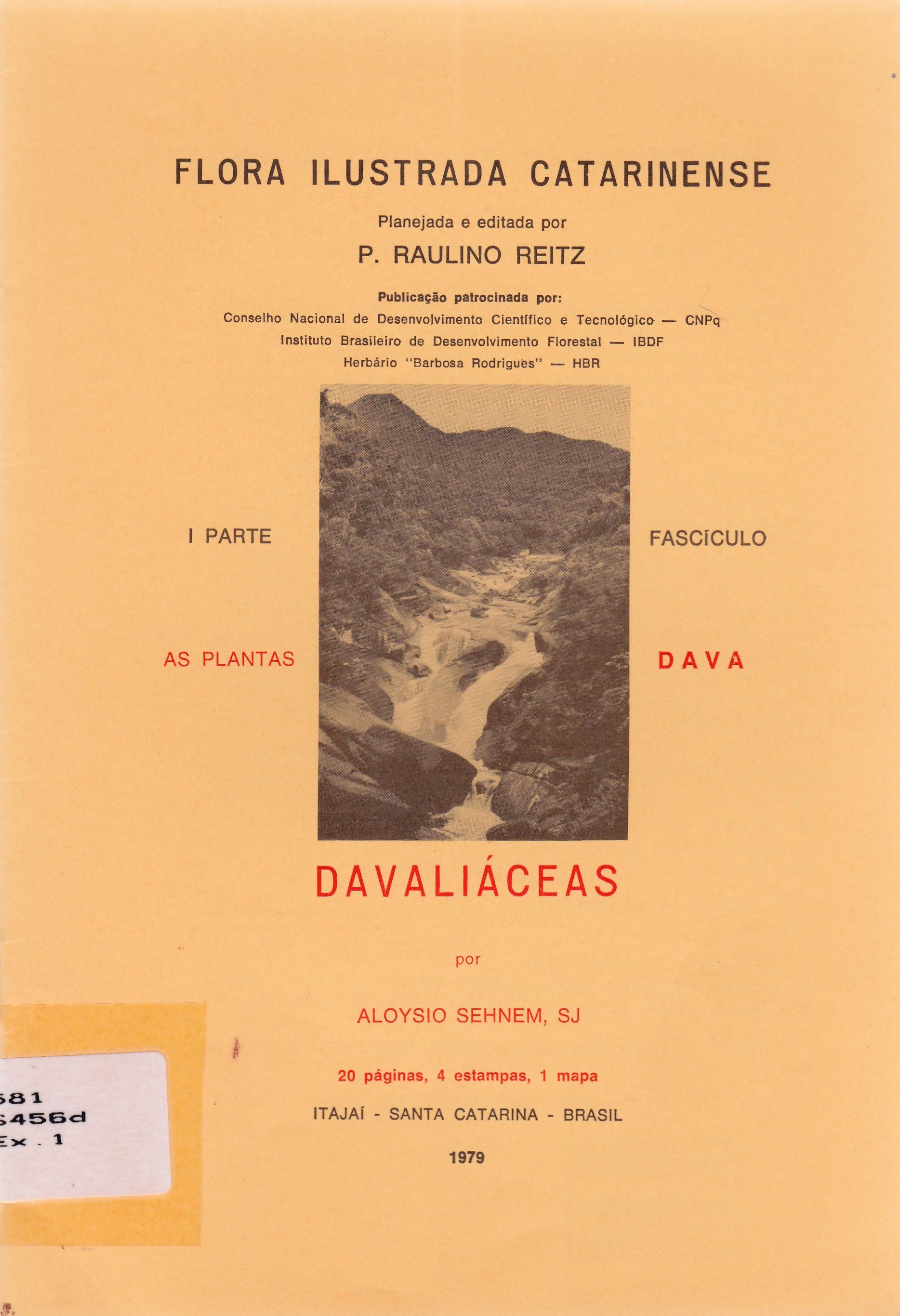 DAVALIÁCEAS