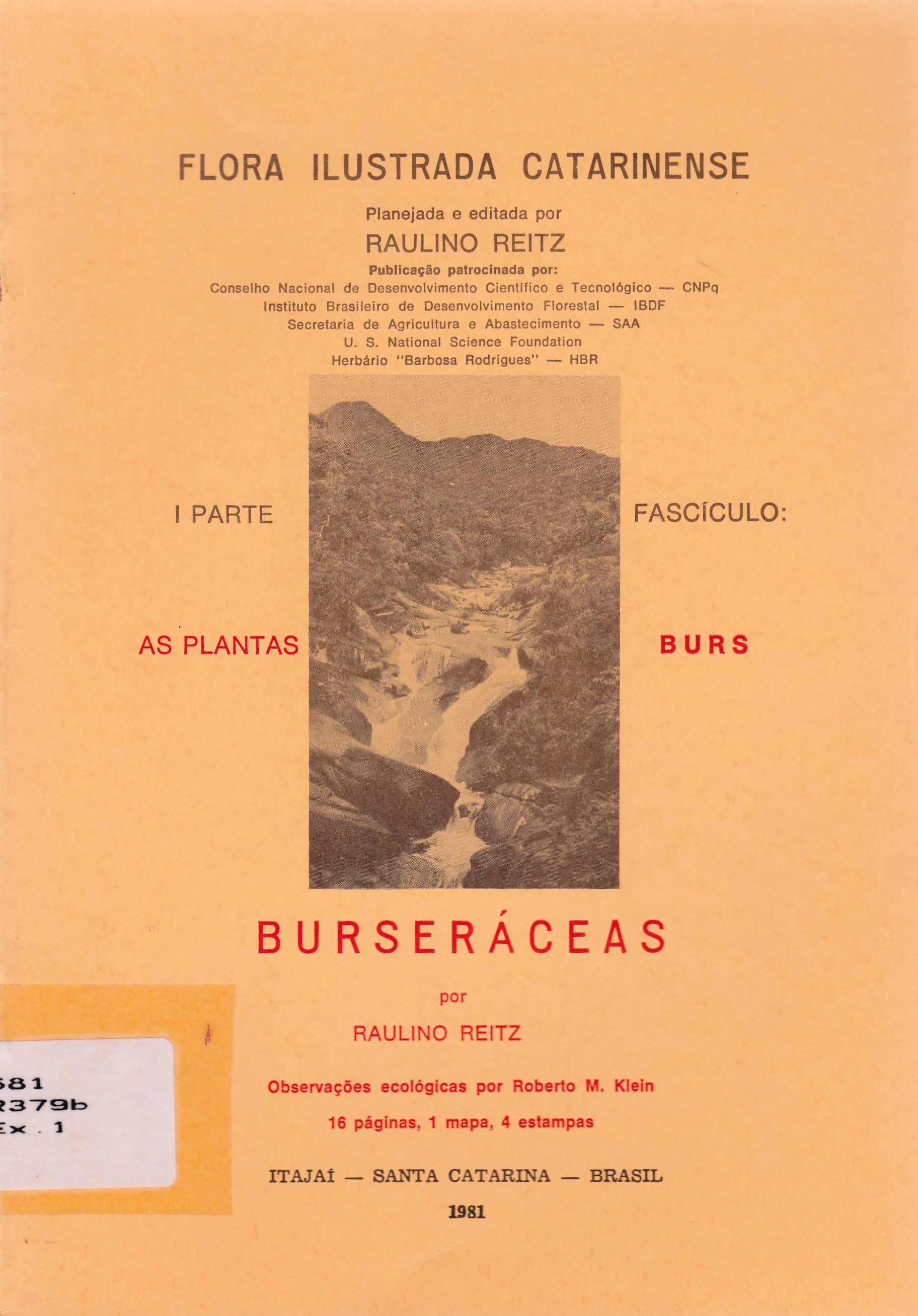 BURSERÁCEAS