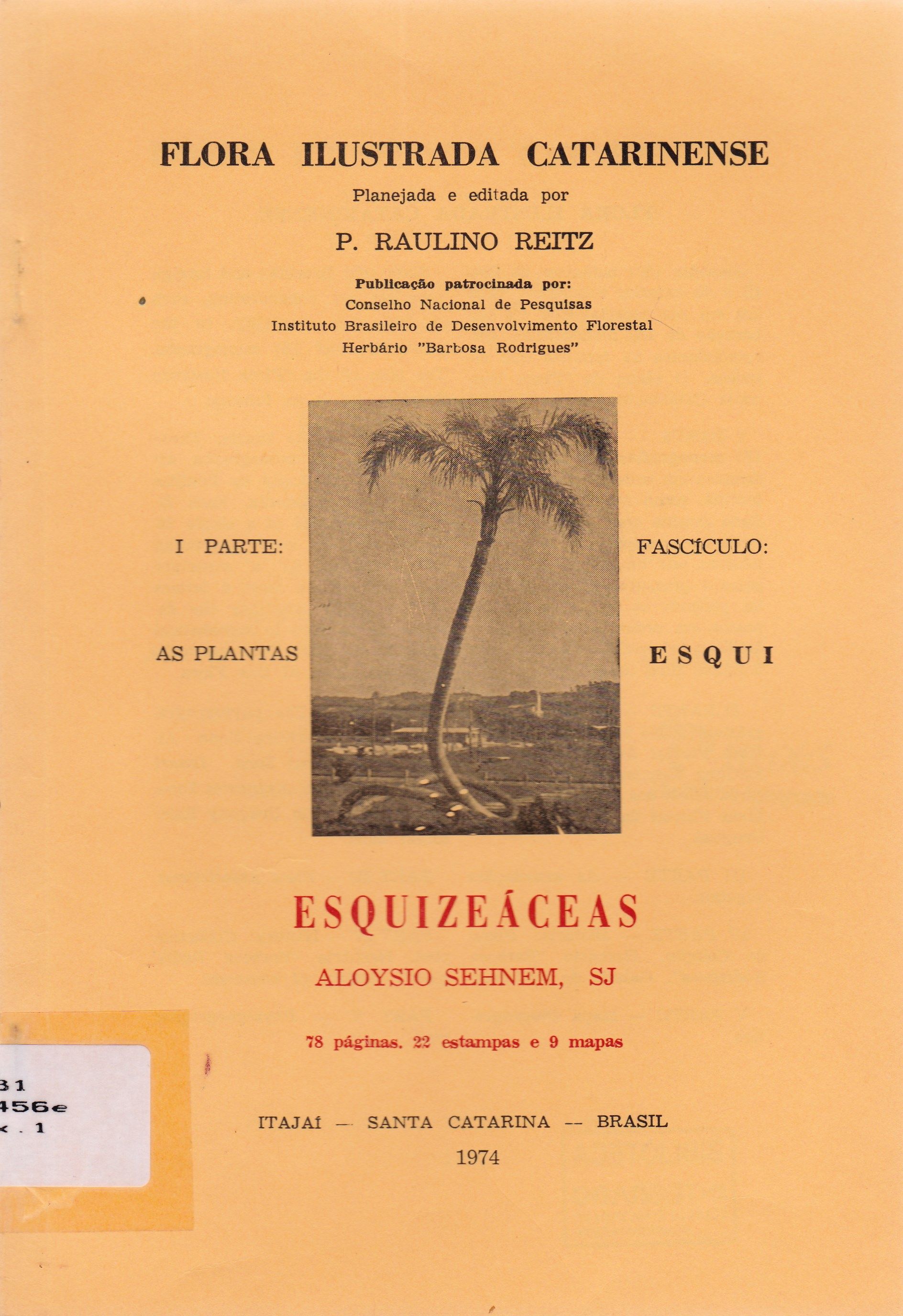 ESQUIZEÁCEAS