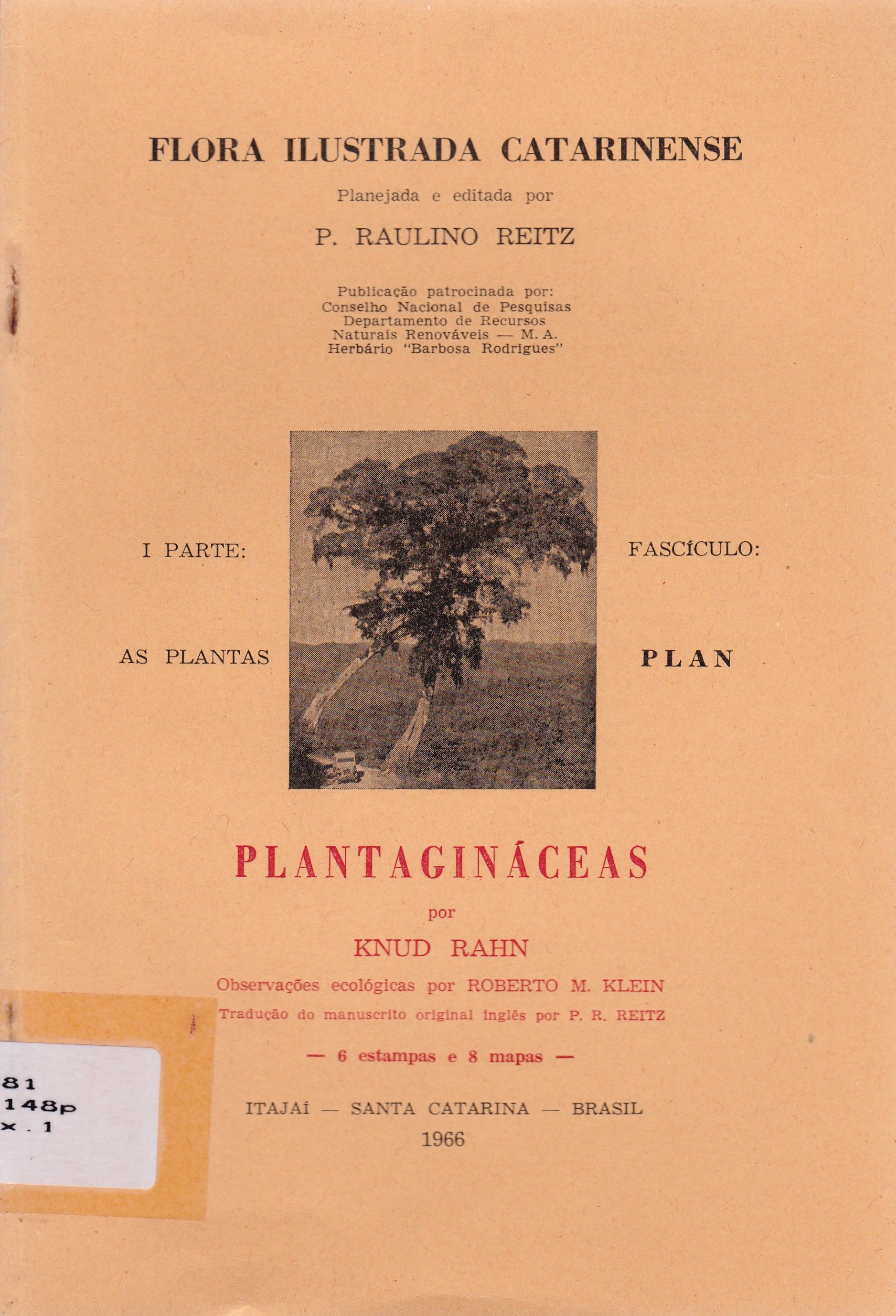PLANTAGINÁCEAS