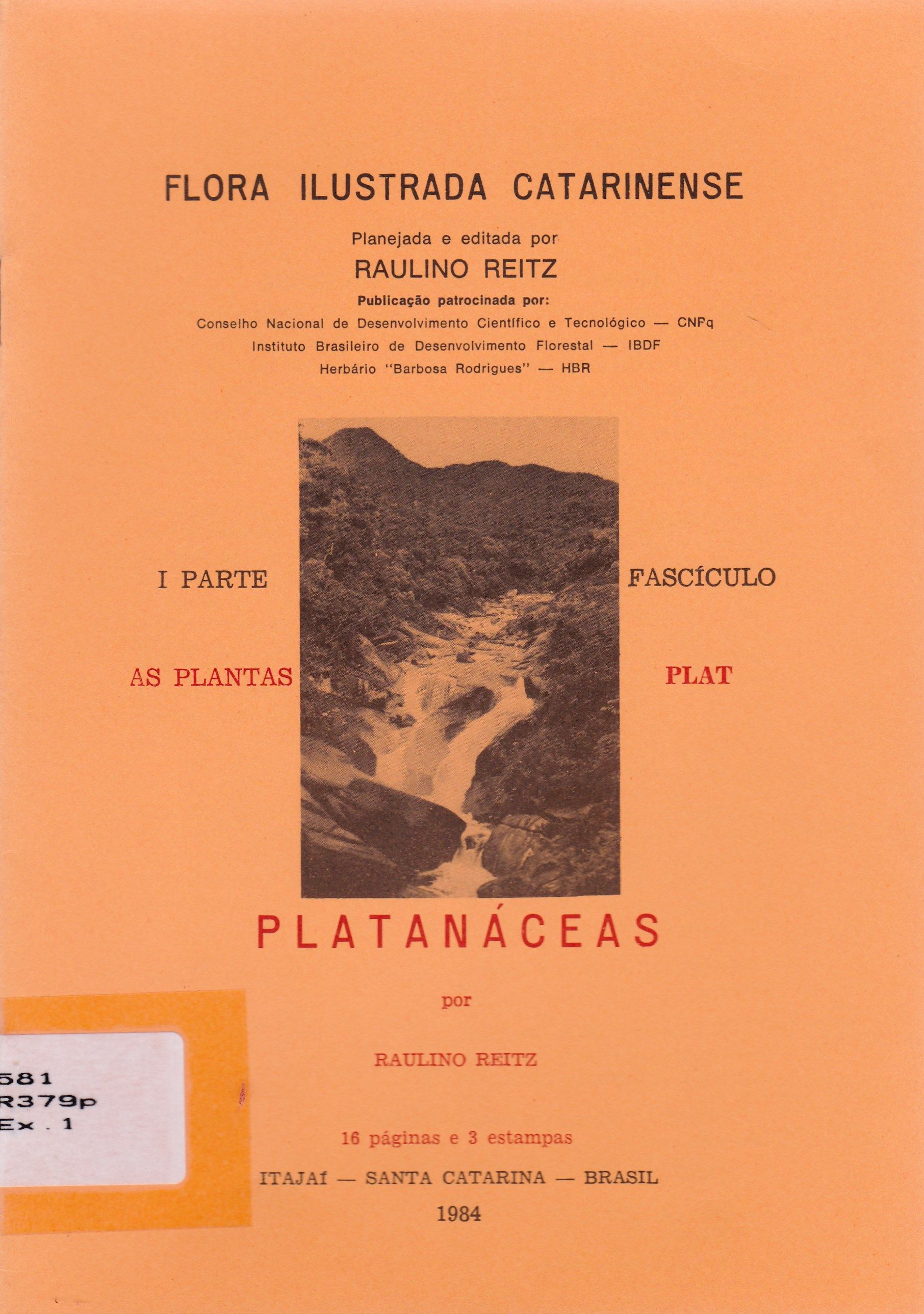 PLATANÁCEAS