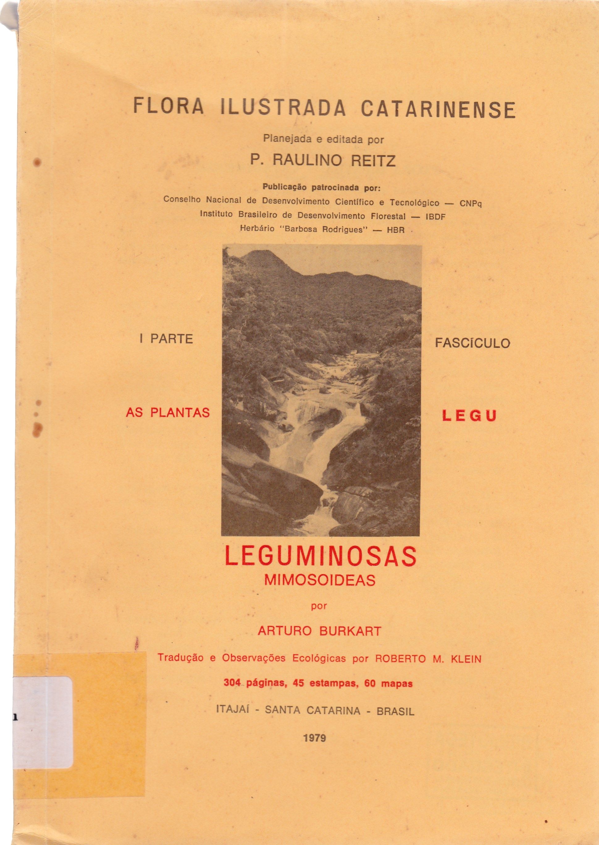 LEGUMINOSAS: MIMOSOIDEAS
