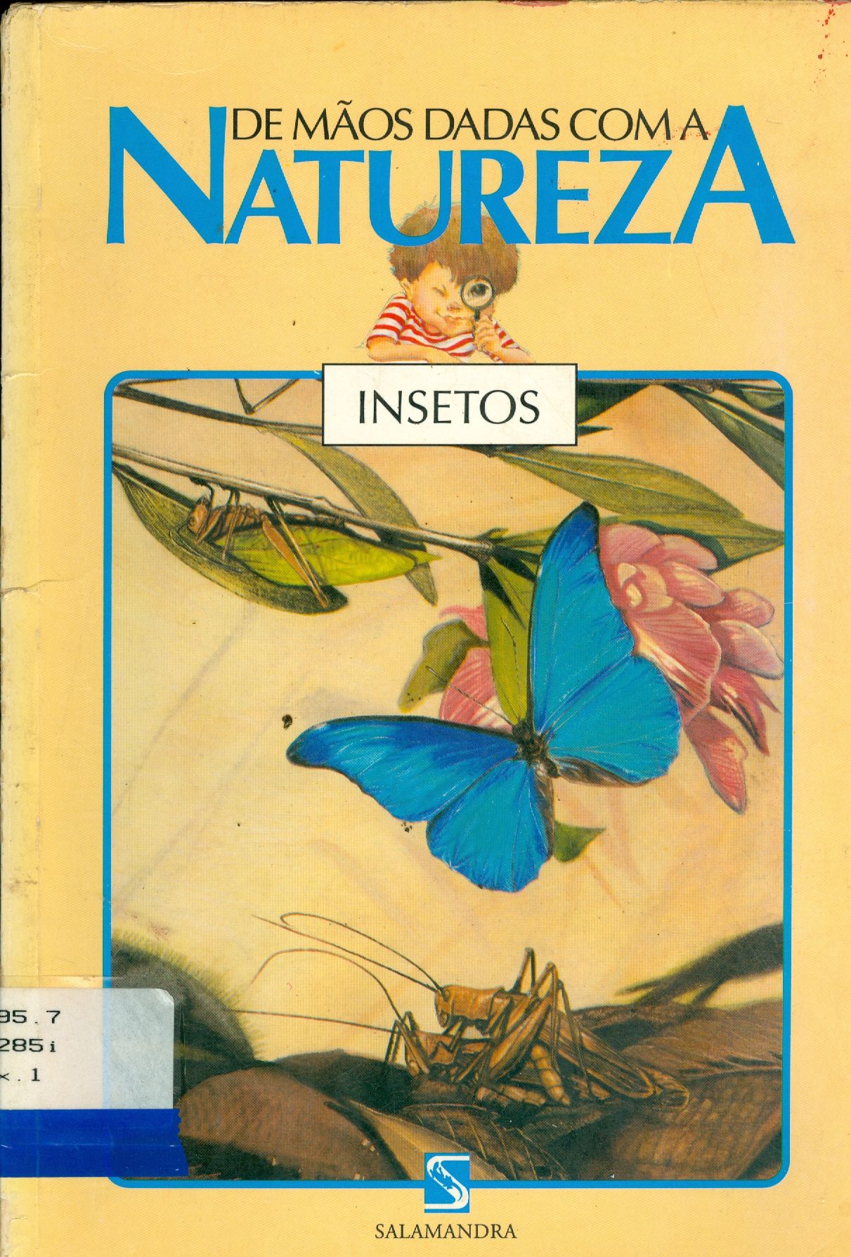 INSETOS 