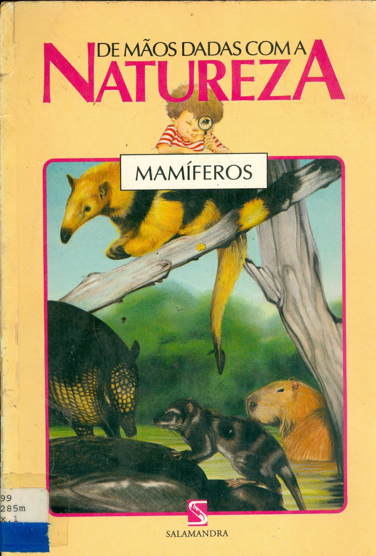 MAMÍFEROS 
