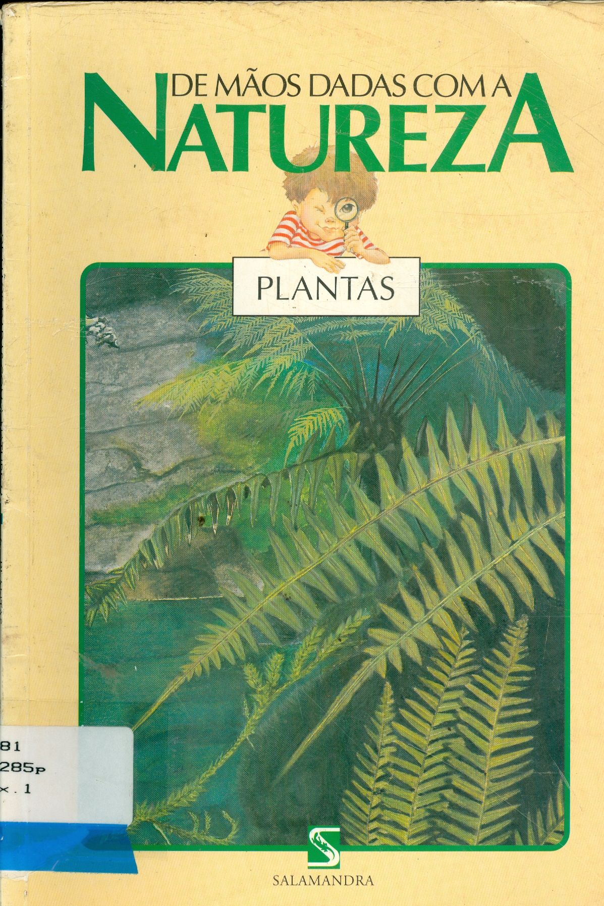 PLANTAS 