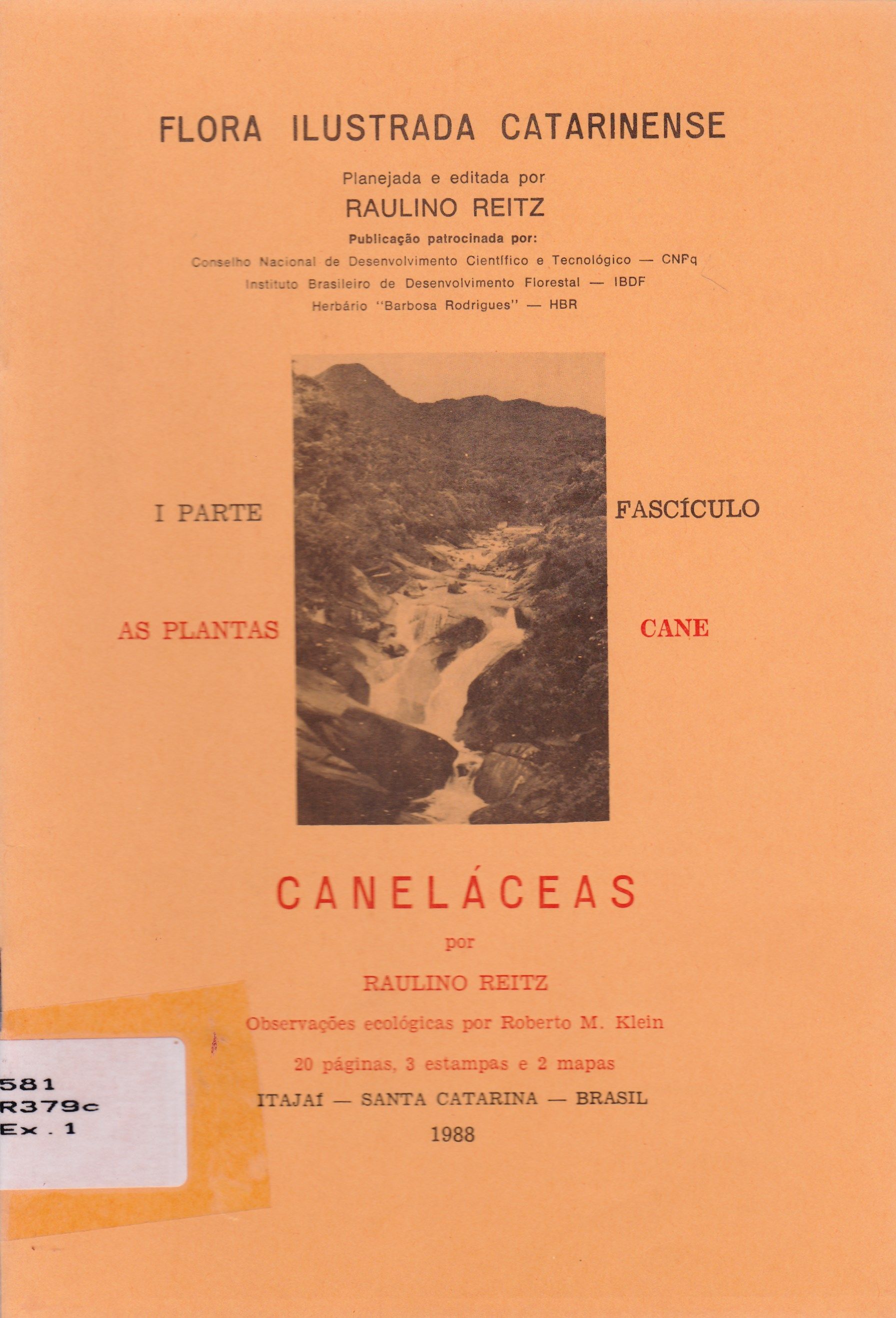 CANELÁCEAS