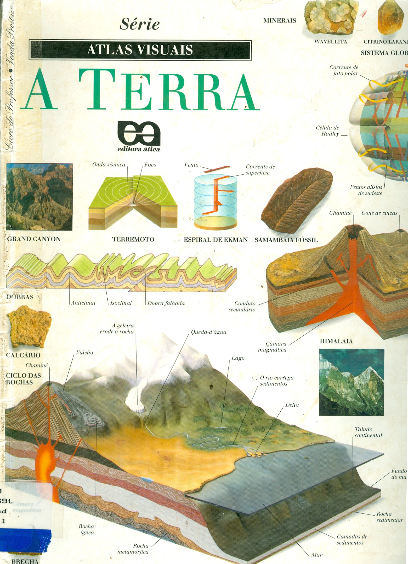 A TERRA