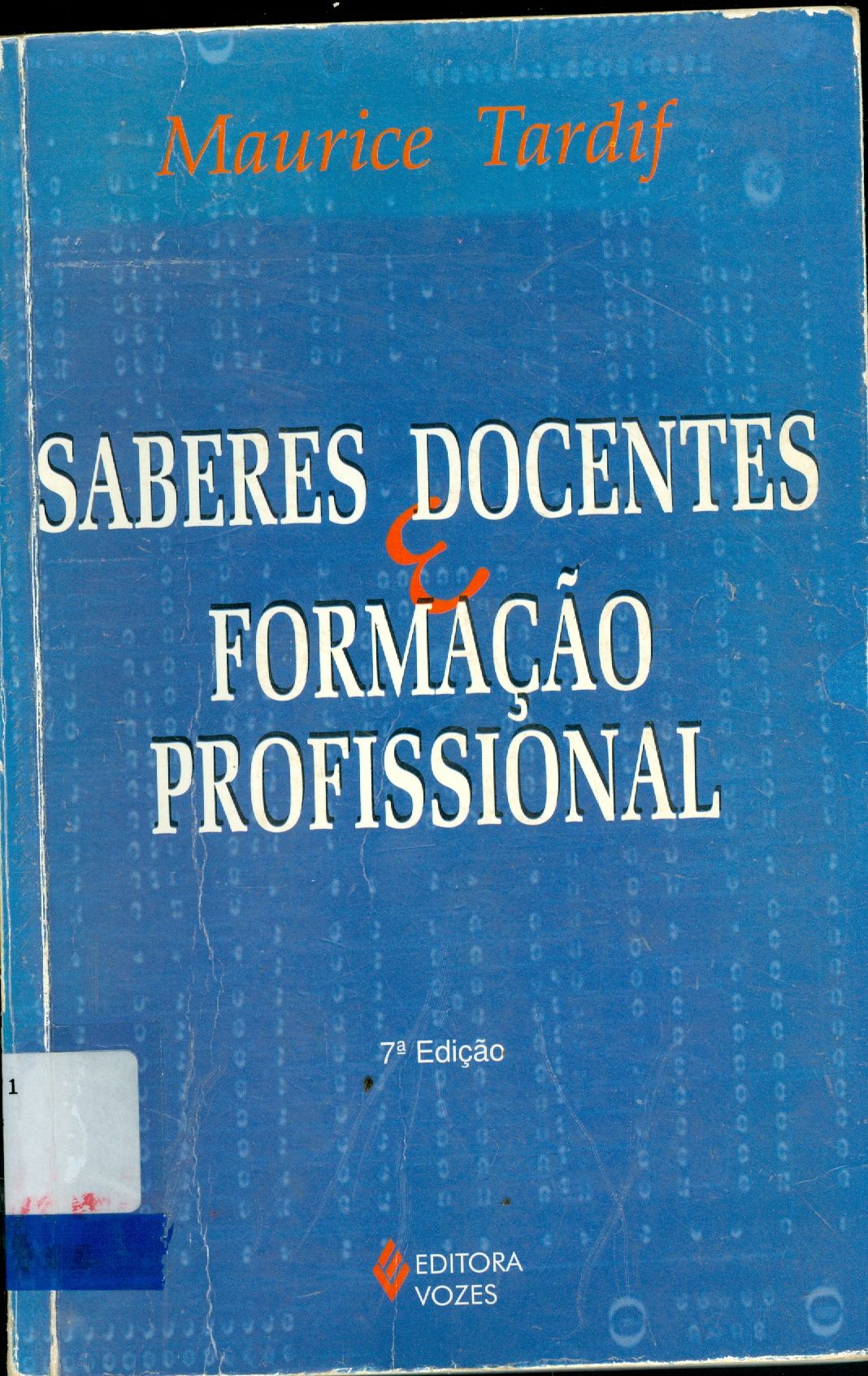 SABERES DOCENTES E FORMAÇÃO PROFISSIONAL
