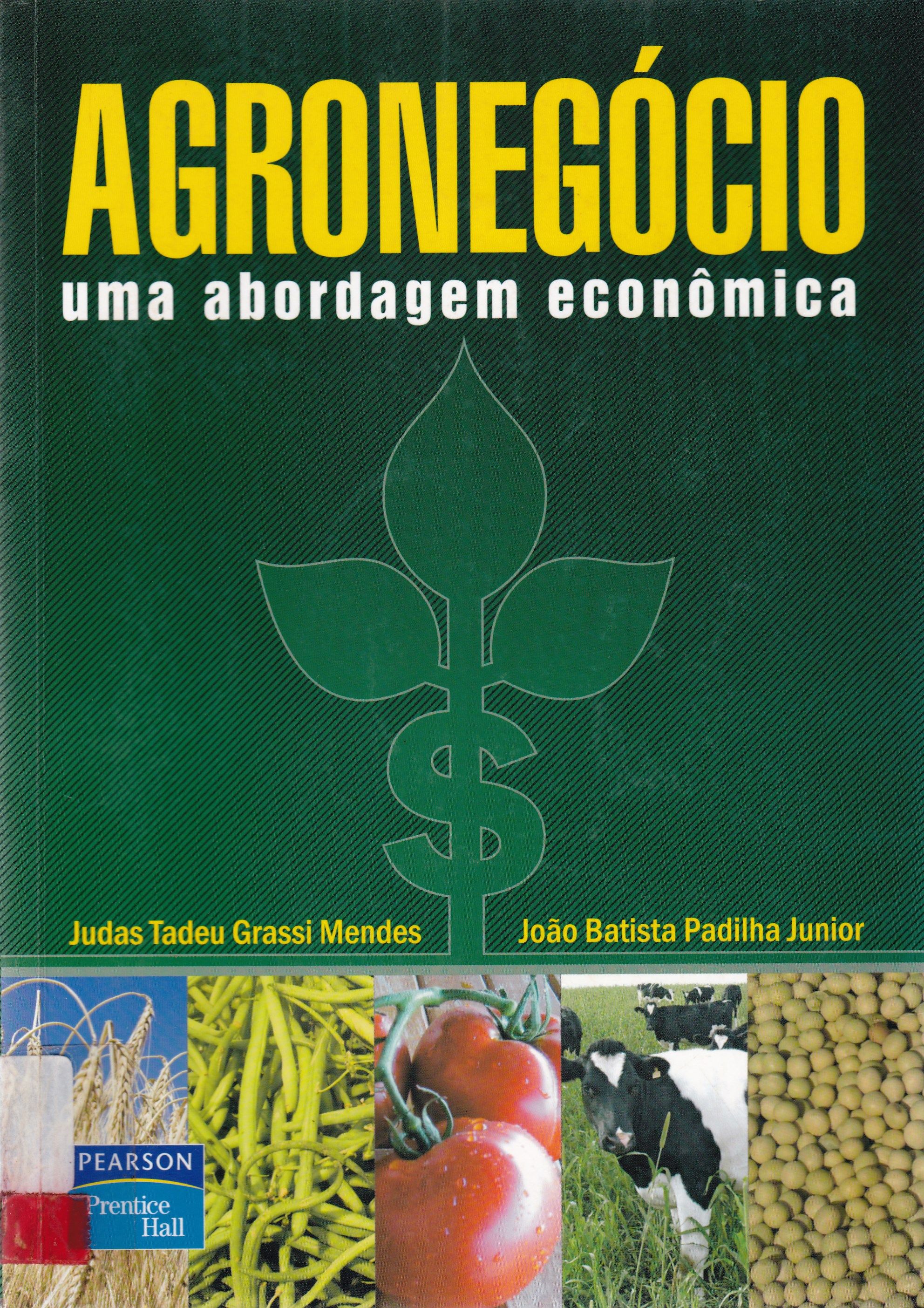 AGRONEGÓCIO: UMA ABORDAGEM ECONÔMICA