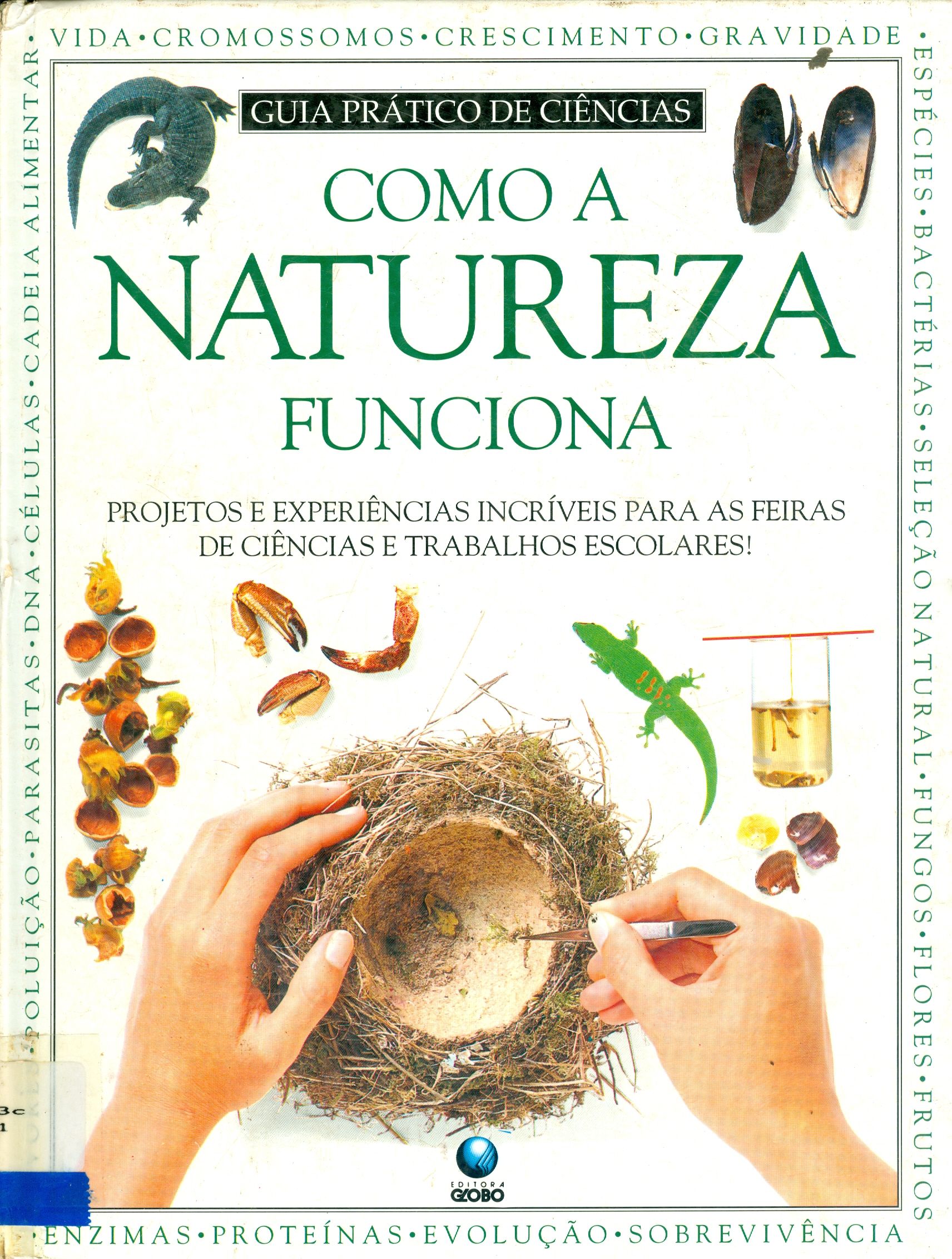 COMO A NATUREZA FUNCIONA