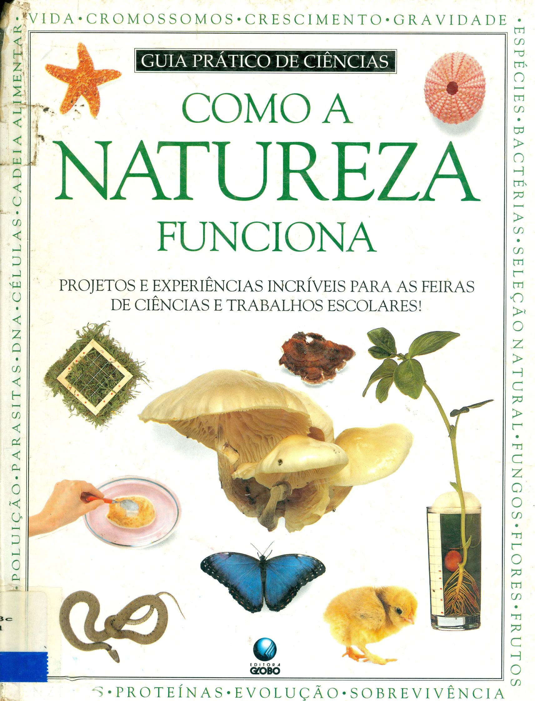 COMO A NATUEZA FUNCIONA