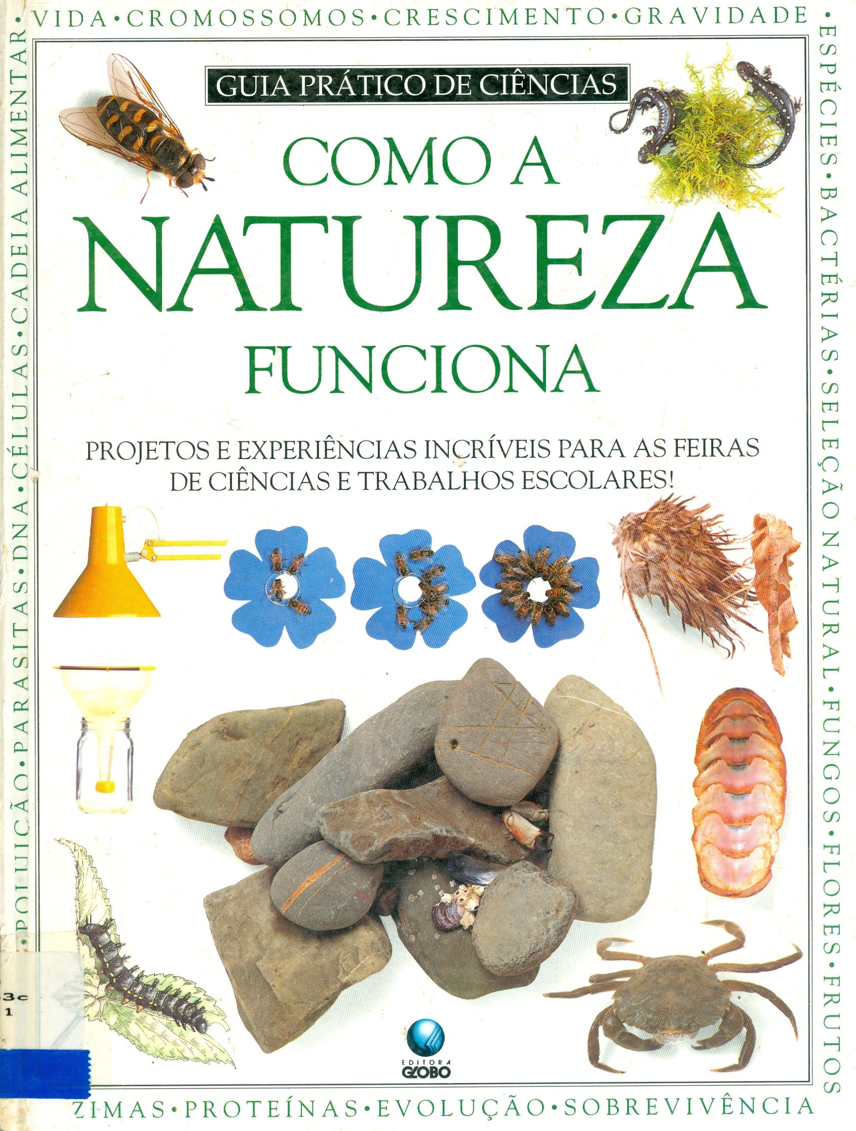 COMO A NATUREZA FUNCIONA