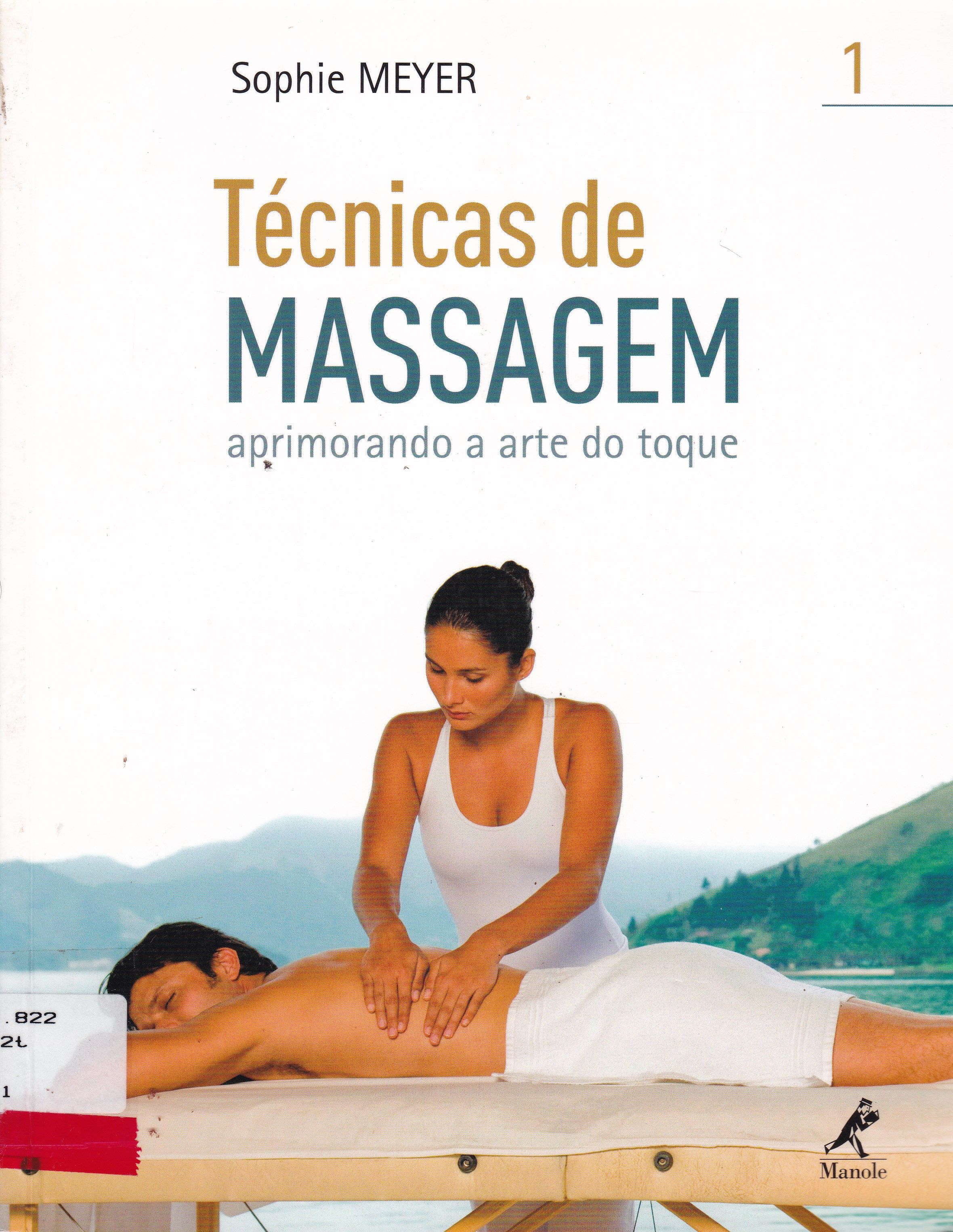 TÉCNICAS DE MASSAGEM I : APRIMORANDO A ARTE DO TOQUE