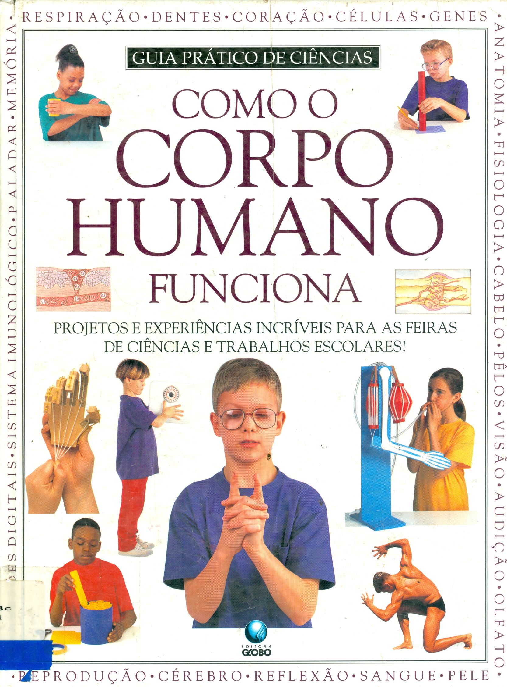 COMO O CORPO HUMANO FUNCIONA