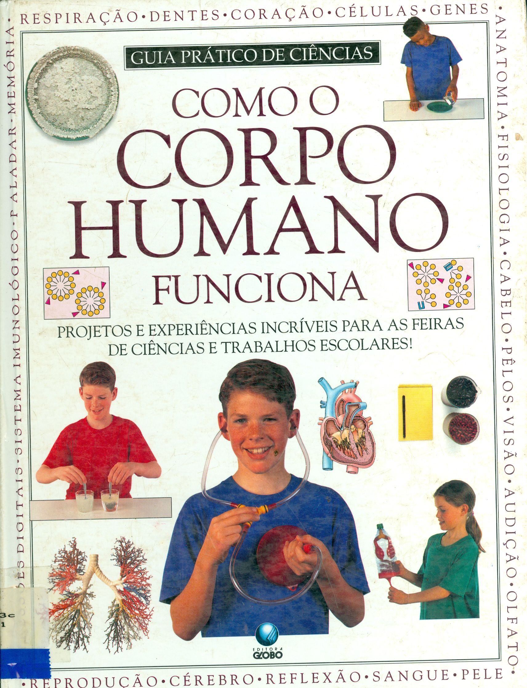 COMO O CORPO FUNCIONA