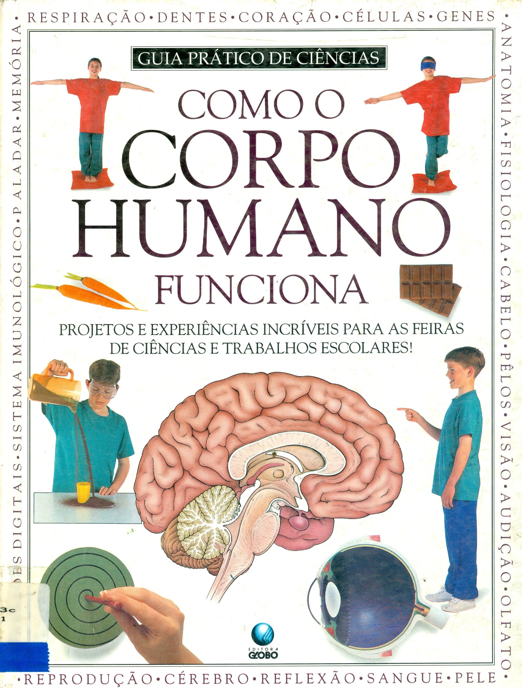 COMO O CORPO HUMANO FUNCIONA