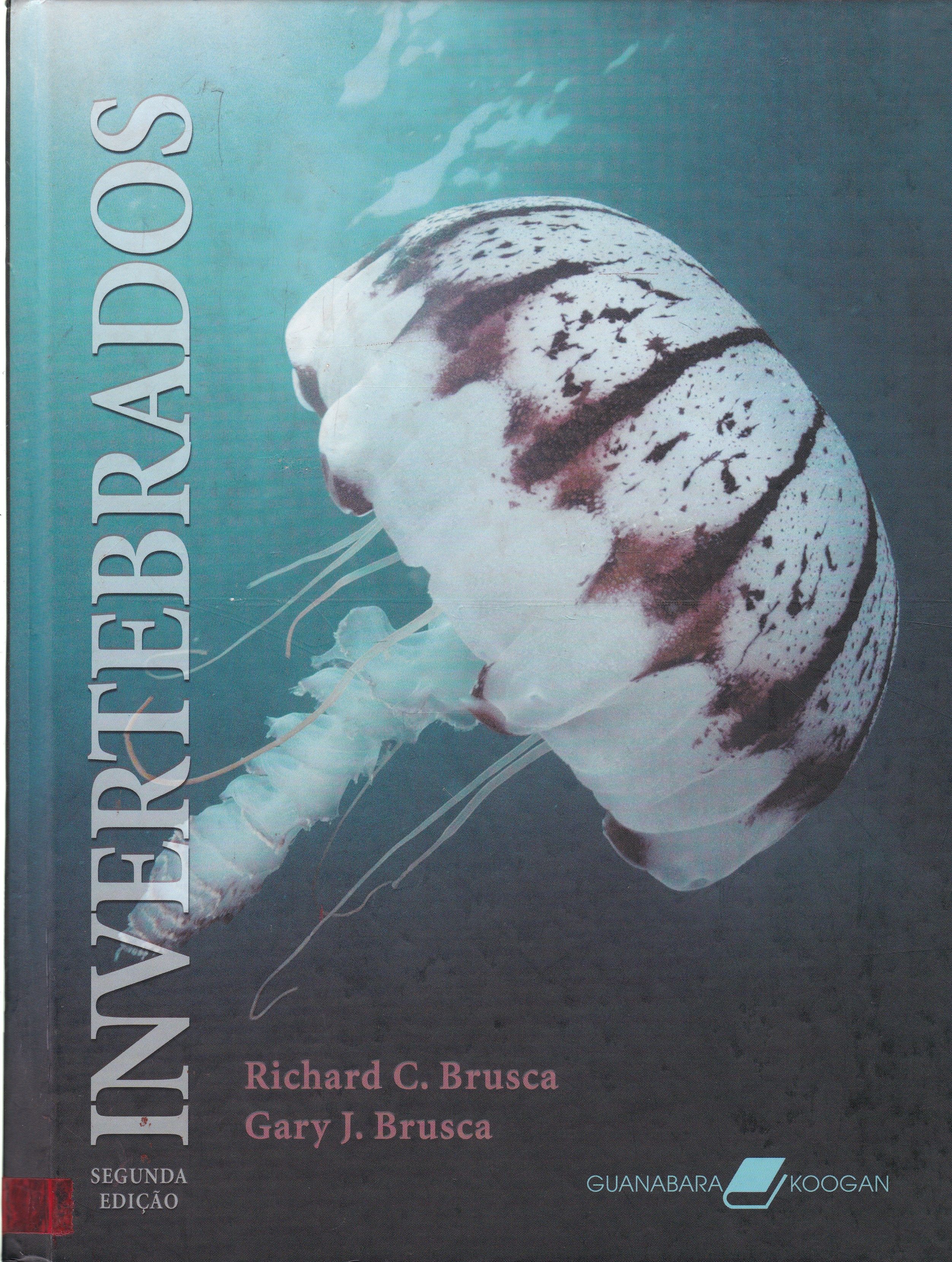 INVERTEBRADOS