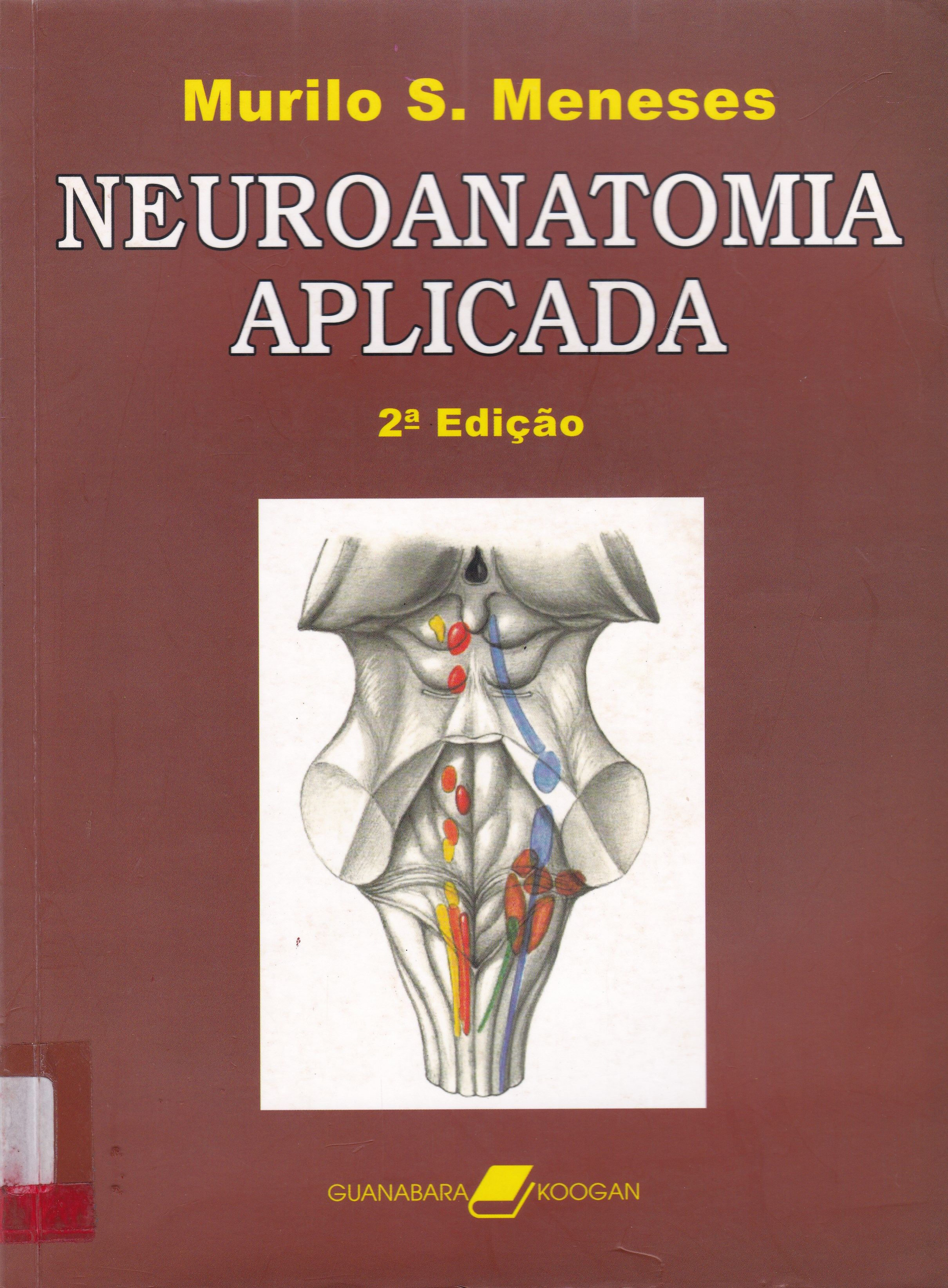 NEUROANATOMIA APLICADA