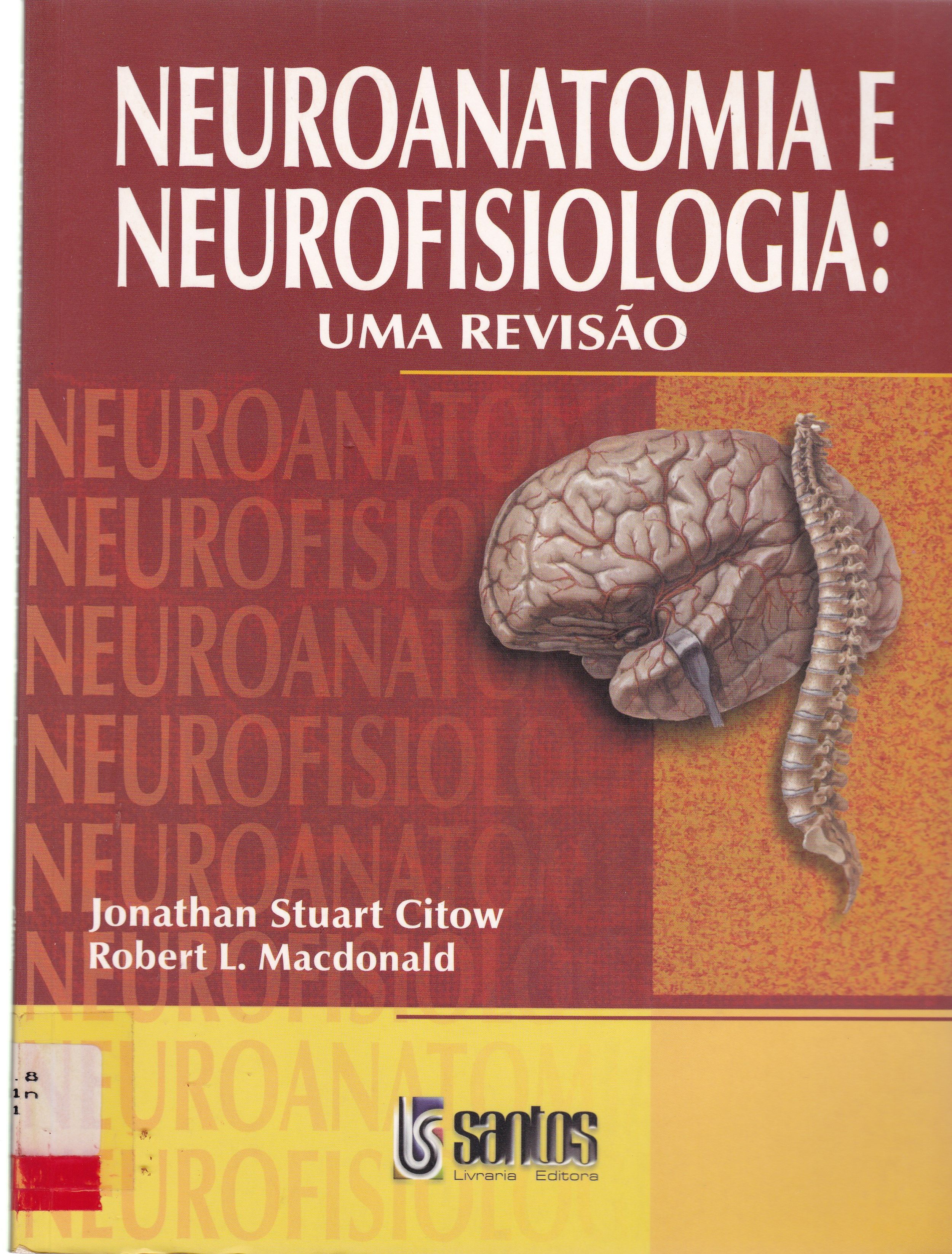 NEUROANATOMIA E NEUROFISIOLOGIA: UMA REVISÃO