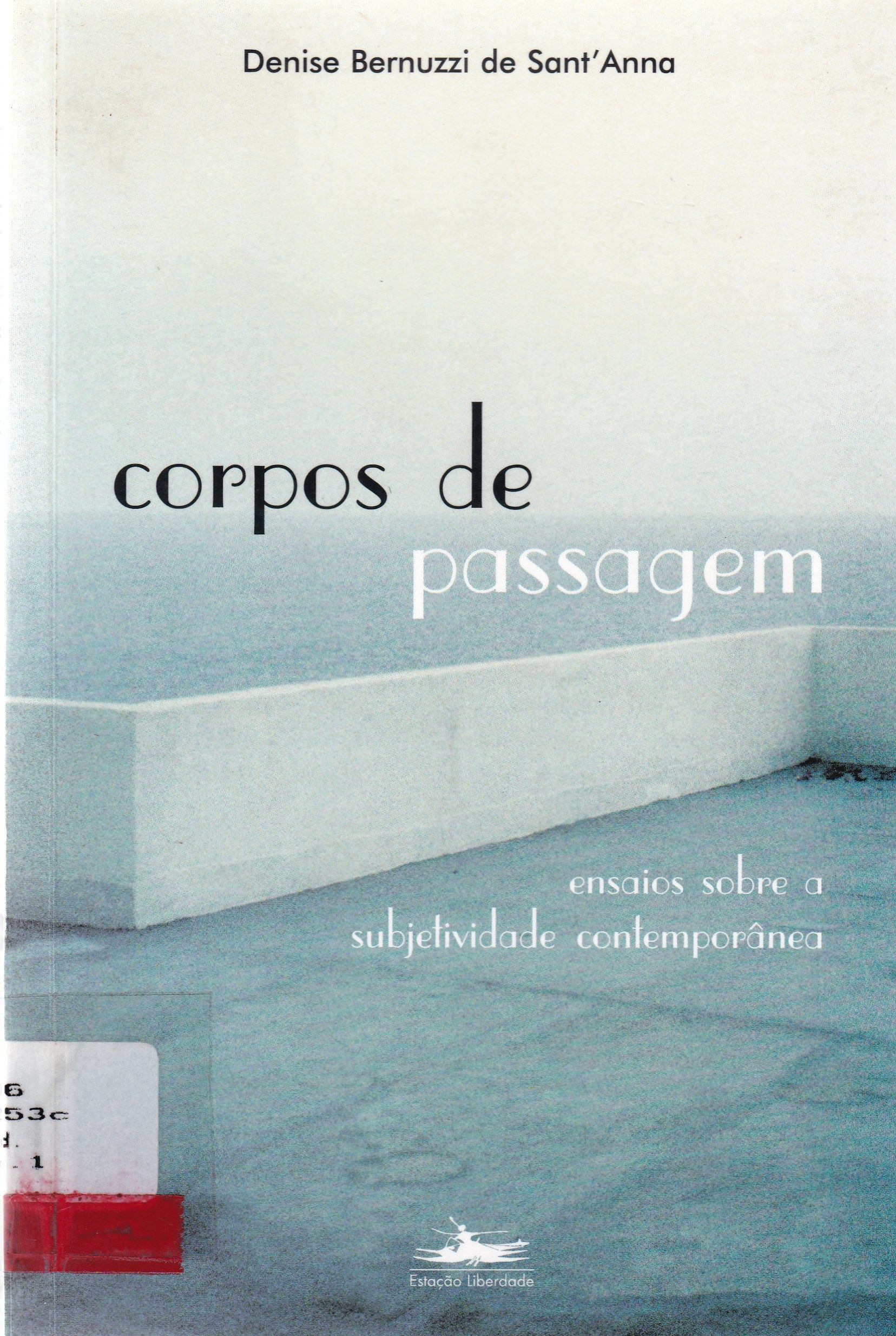 CORPOS DE PASSAGEM: ENSAIOS SOBRE A SUBJETIVIDADE CONTEMPORÂNEA