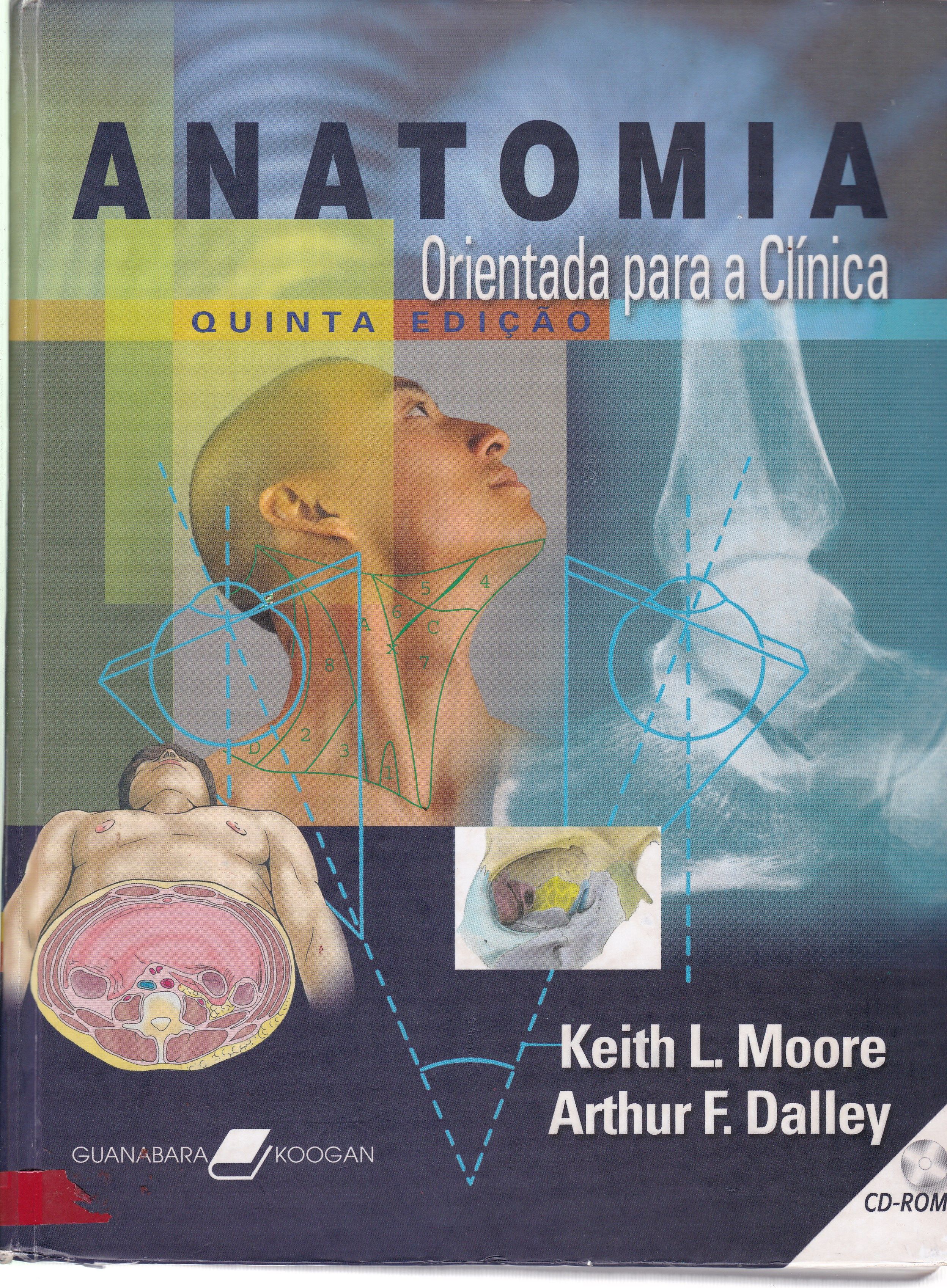 ANATOMIA ORIENTADA PARA A CLÍNICA