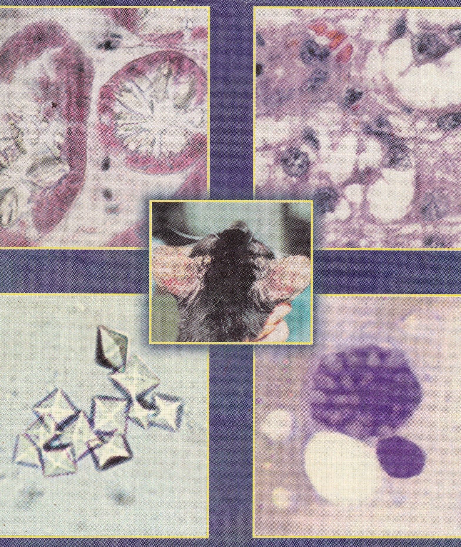 ATLAS DE CITOLOGIA DE CÃES E GATOS