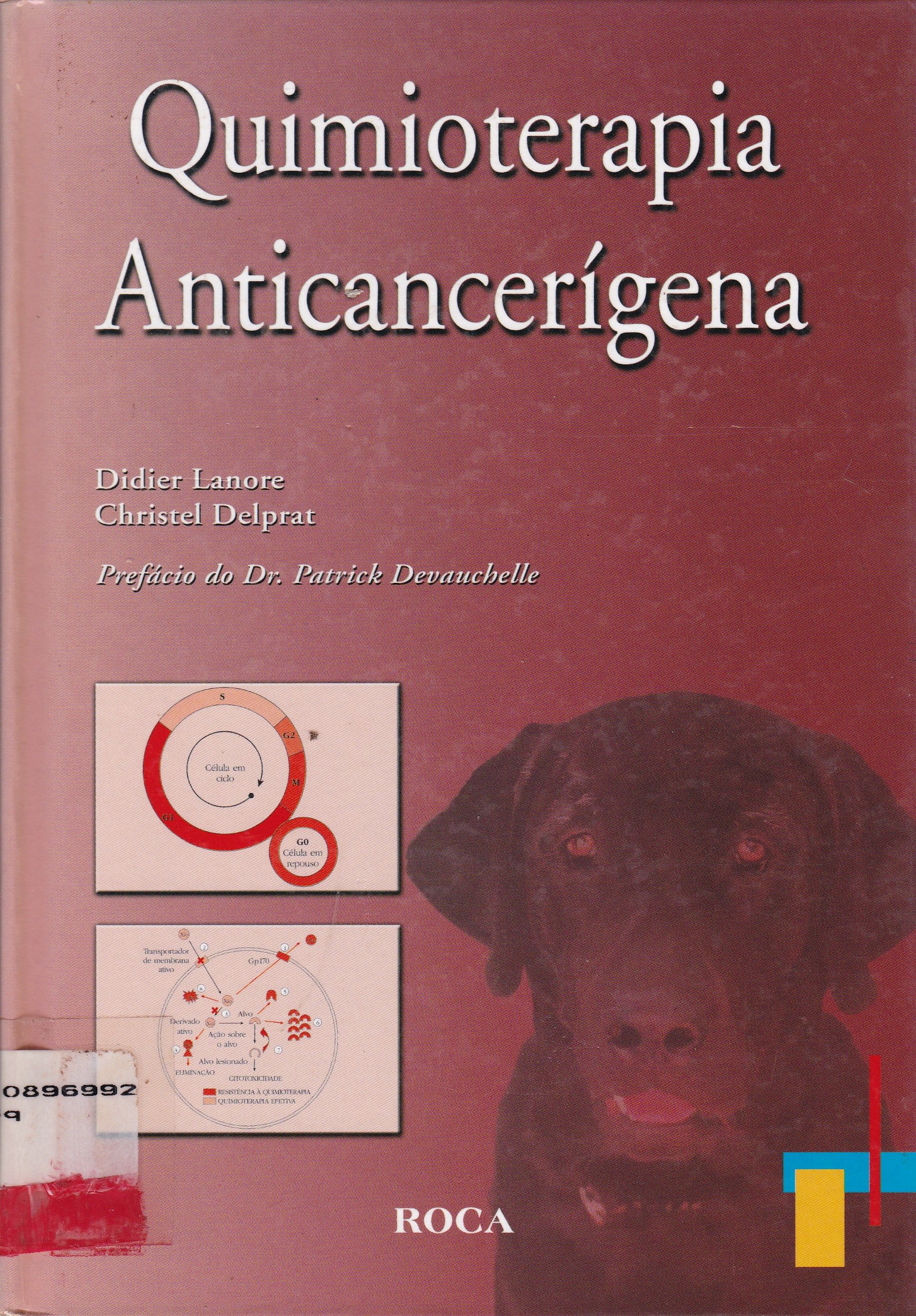 QUIMIOTERAPIA ANTICANCERÍGENA