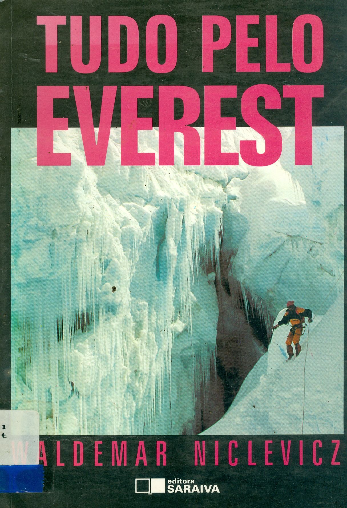 TUDO PELO EVEREST