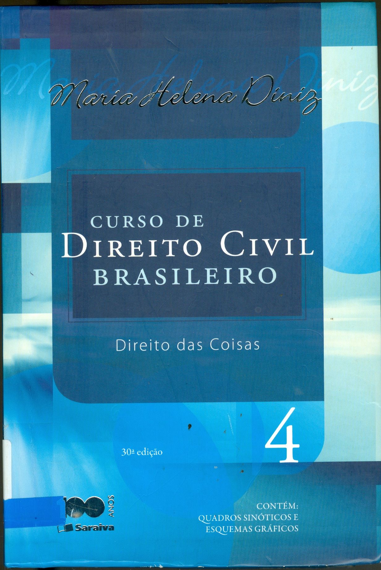 CURSO DE DIREITO CIVIL BRASILEIRO: DIREITO DAS COISAS - V. 4