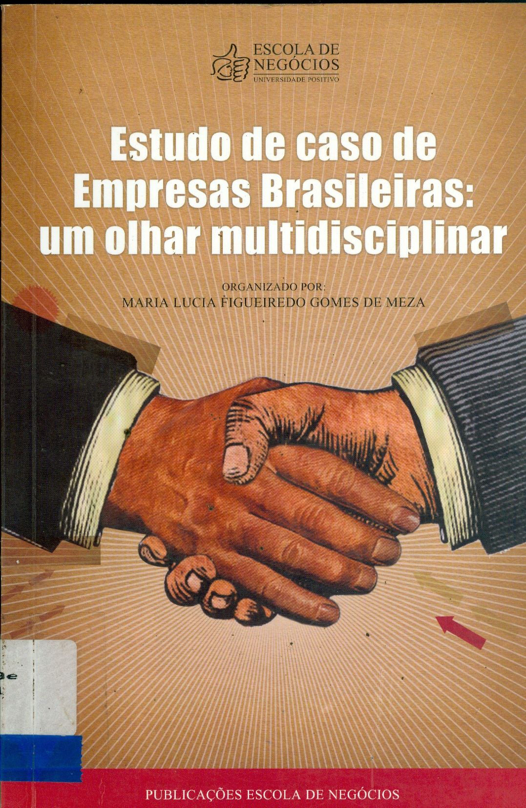 ESTUDO DE CASO DE EMPRESAS BRASILEIRAS: UM OLHAR MULTIDISCIPLINAR