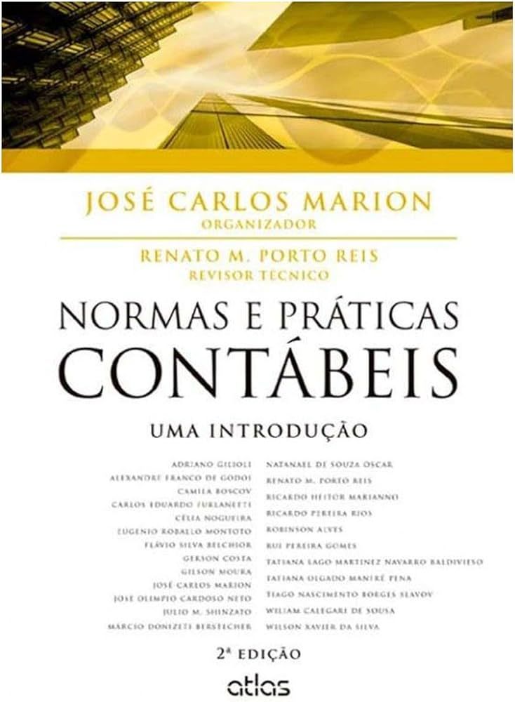 NORMAS E PRÁTICAS CONTÁBEIS: UMA INTRODUÇÃO