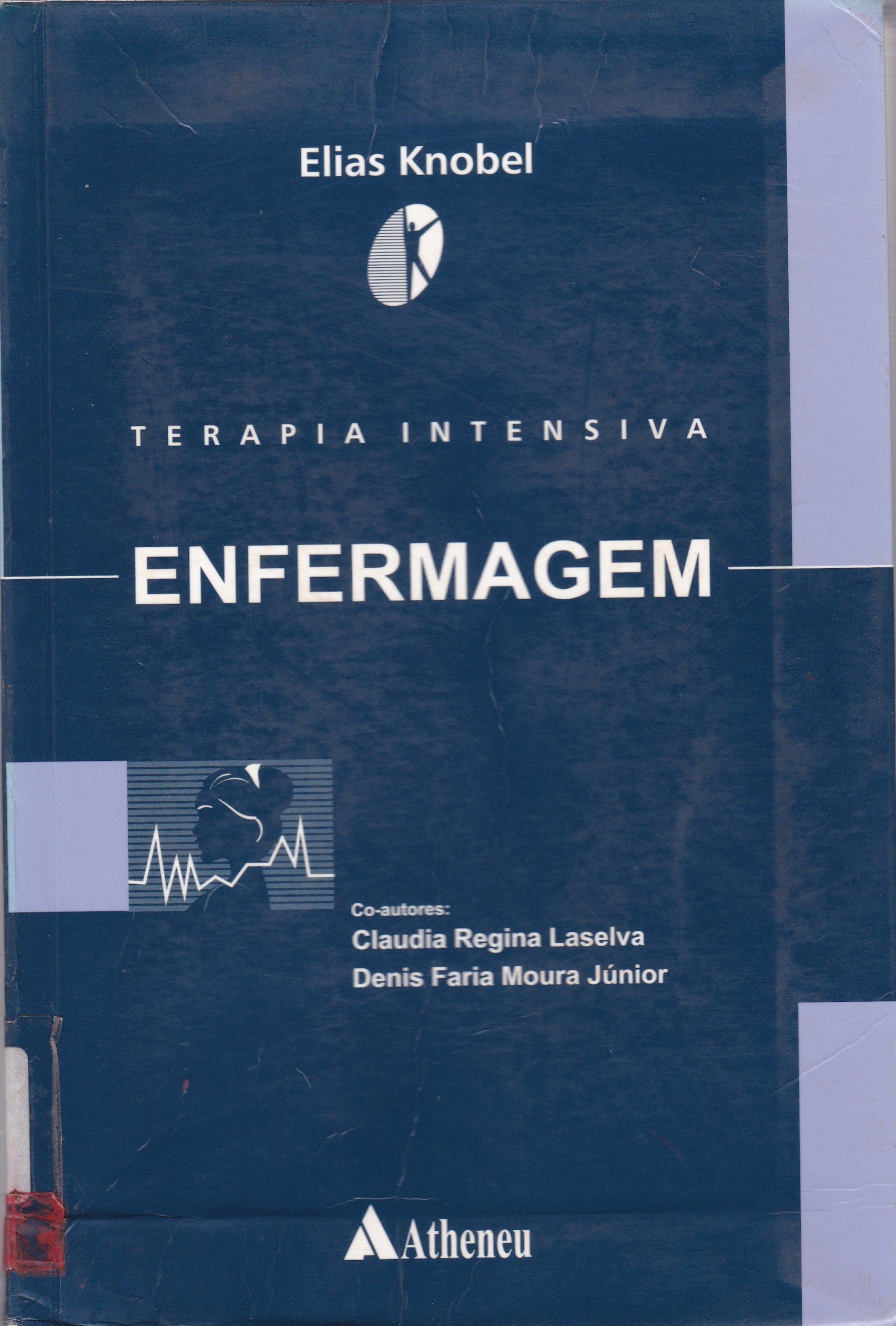 TERAPIA INTENSIVA: ENFERMAGEM