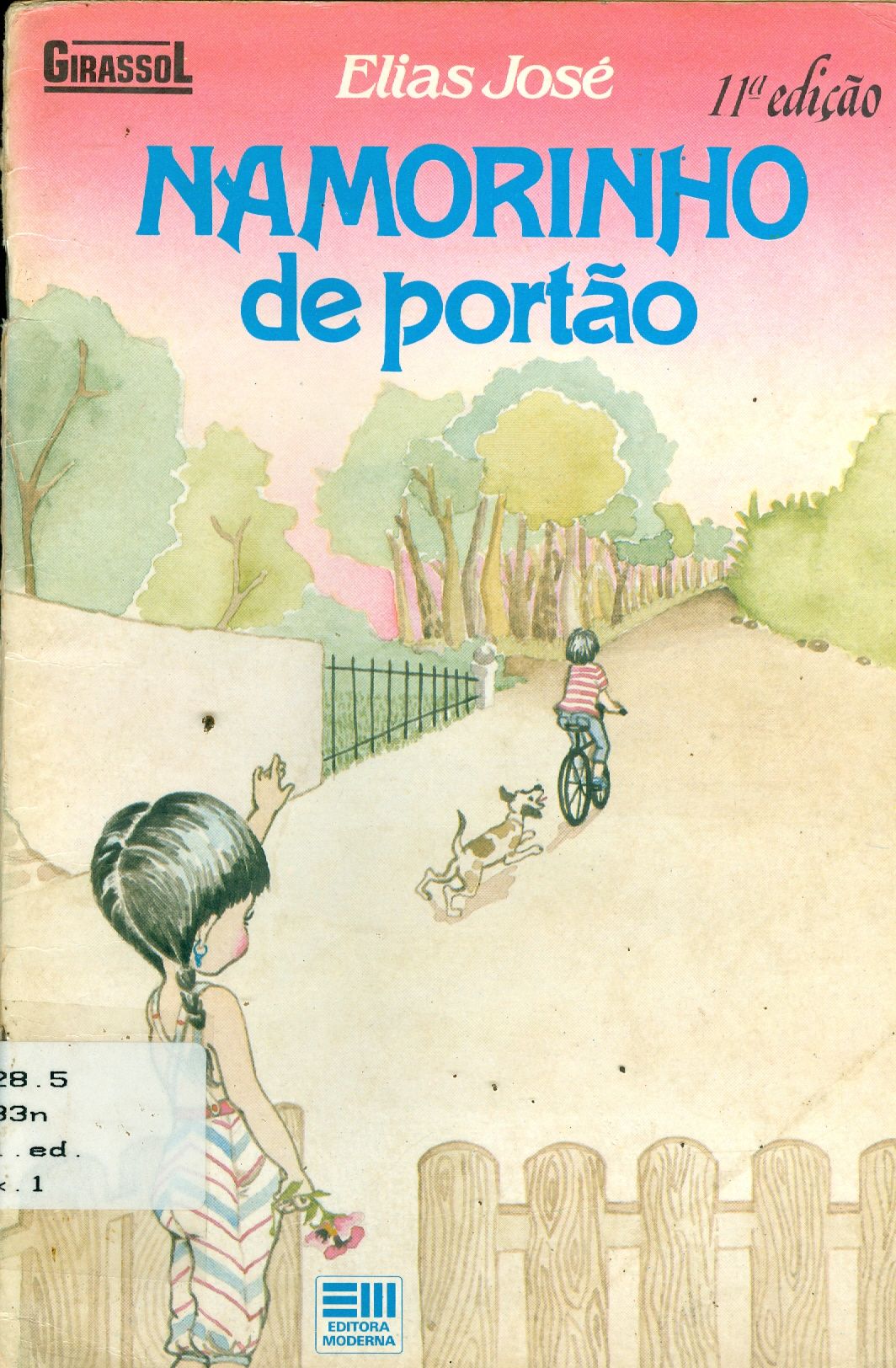 NAMORINHO DE PORTÃO 