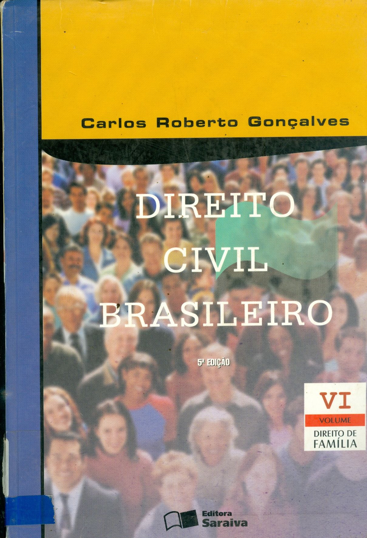 DIREITO CIVIL BRASILEIRO: DIREITO DE FAMÍLIA - V. VI