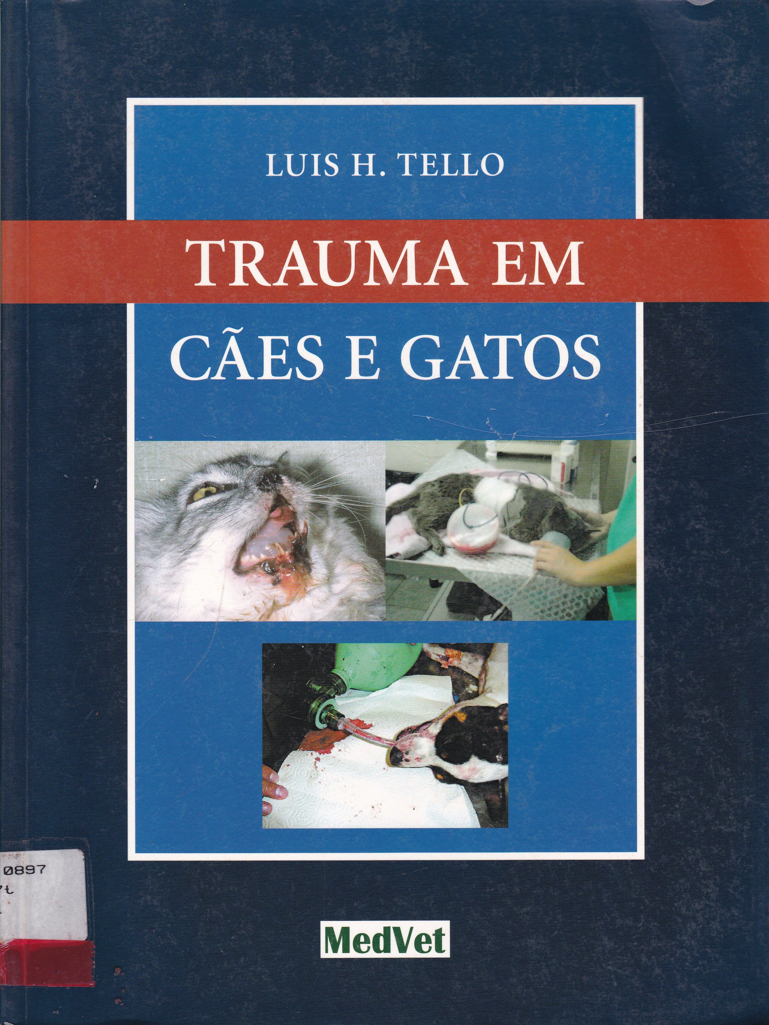 TRAUMA EM CÃES E GATOS