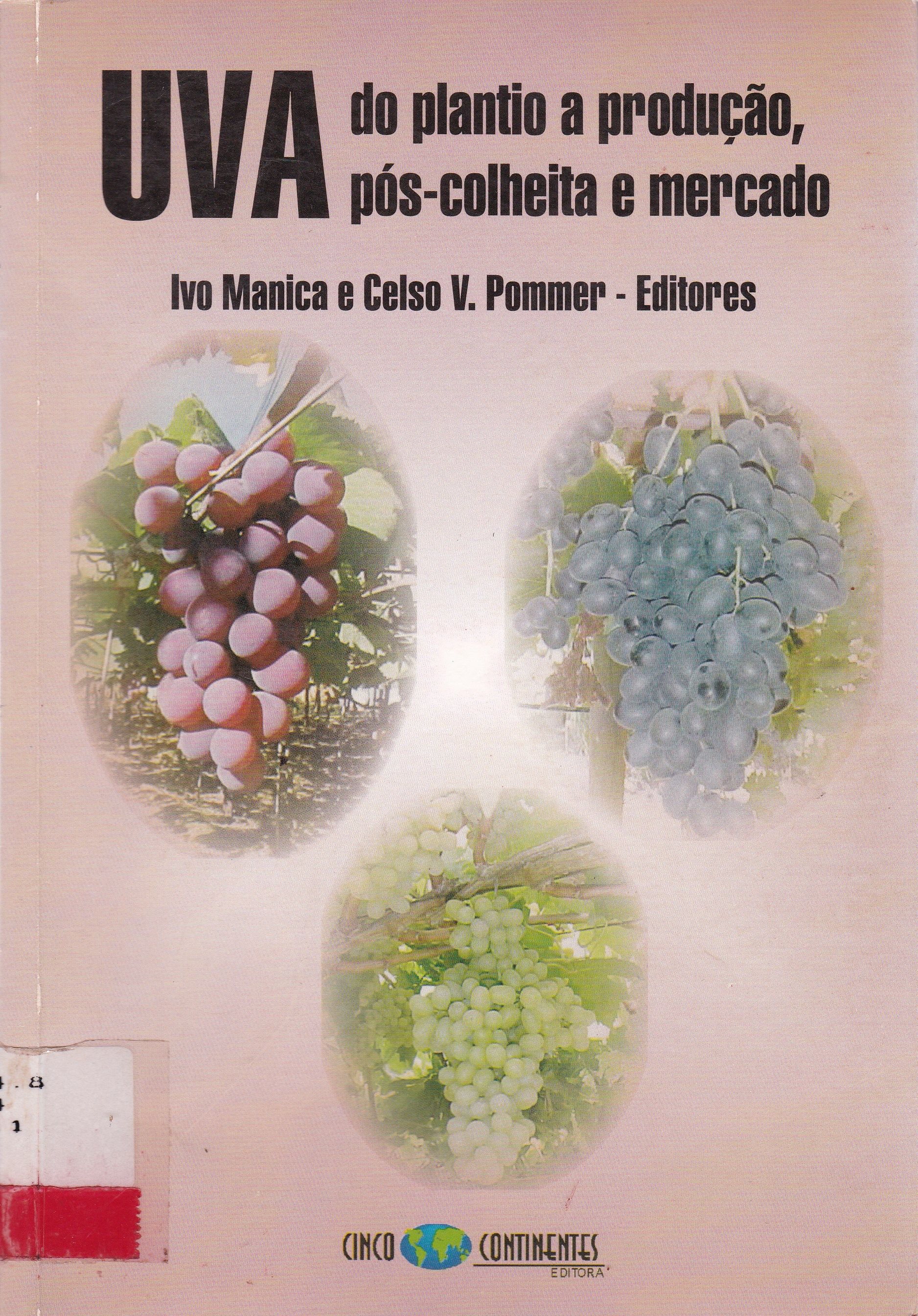 UVA: DO PLANTIO A PRODUÇÃO, PÓS-COLHEITA E MERCADO
